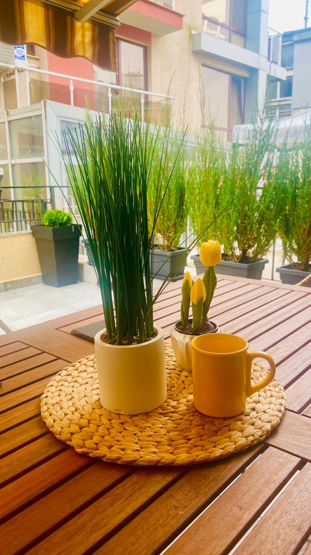 Burgas apartment