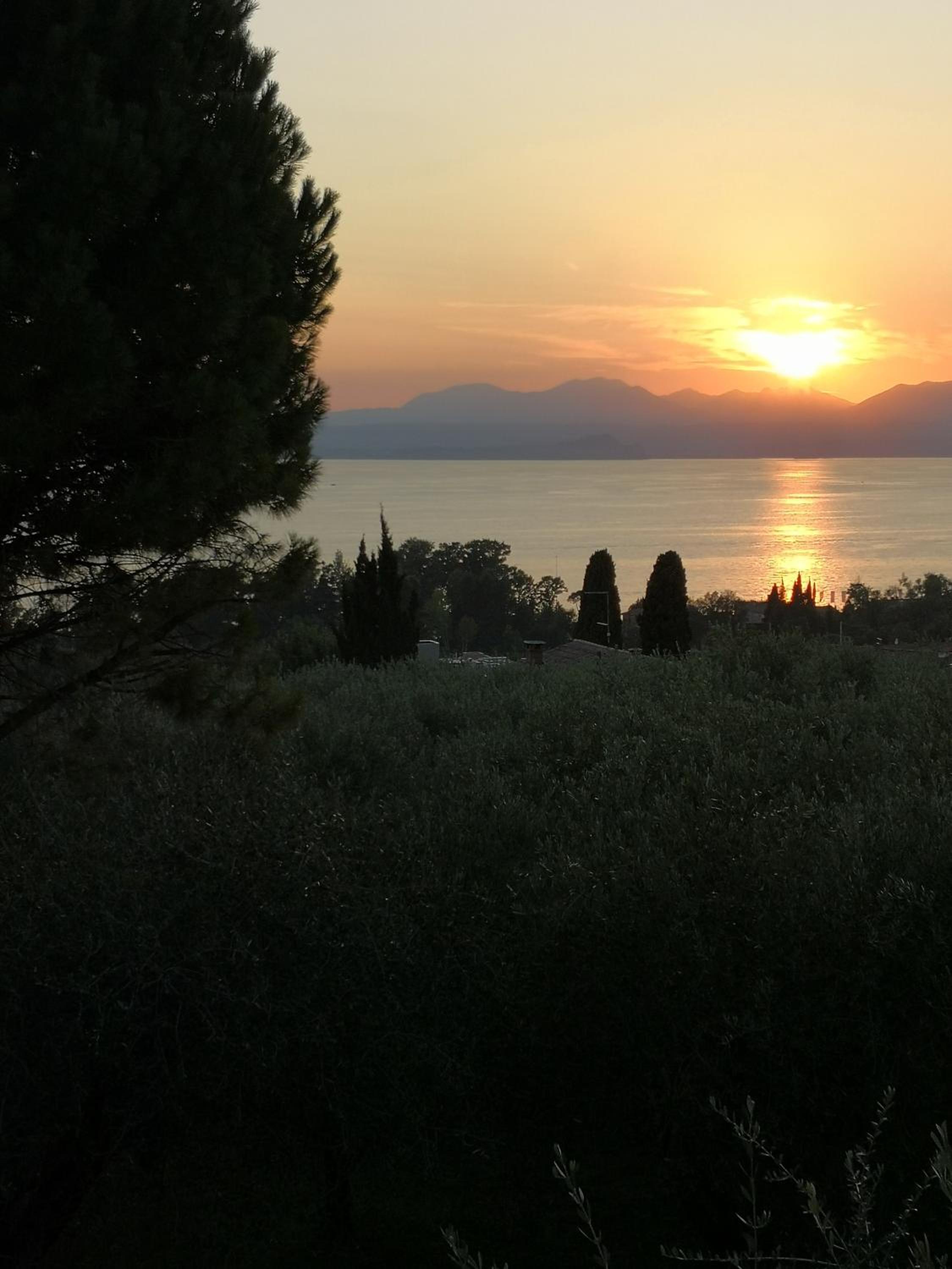 Appartamenti Bellini