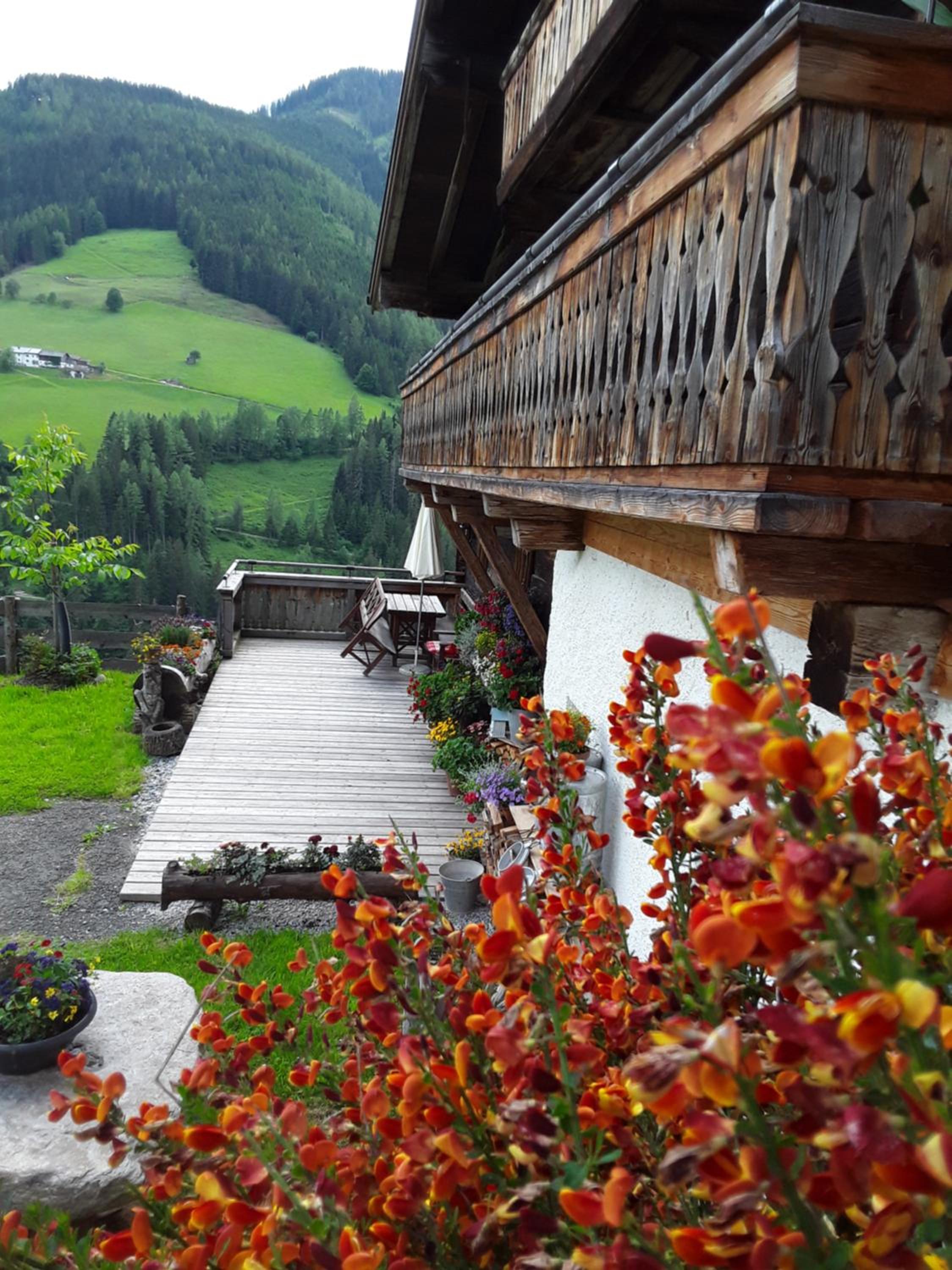das alte Haus