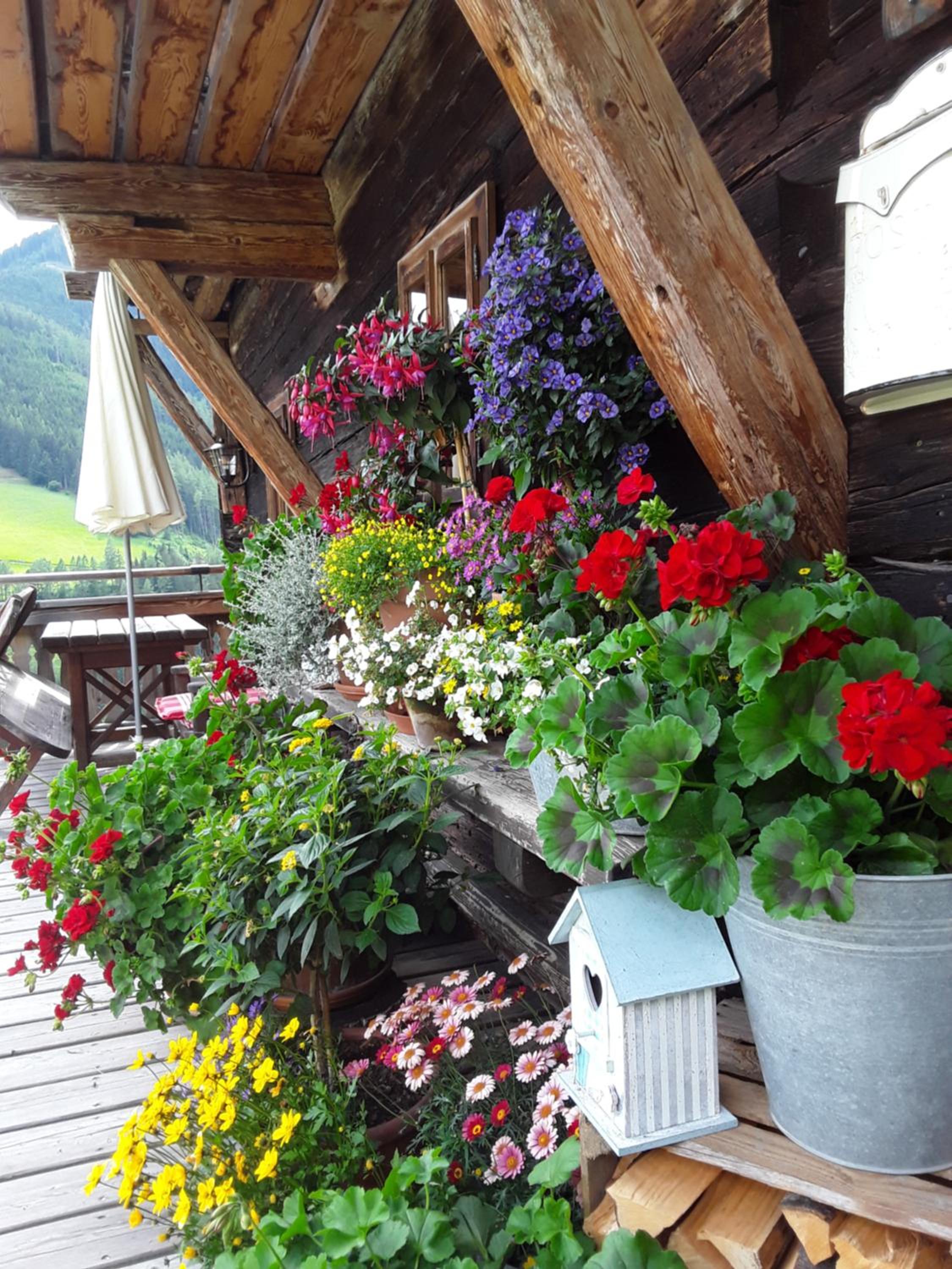das alte Haus
