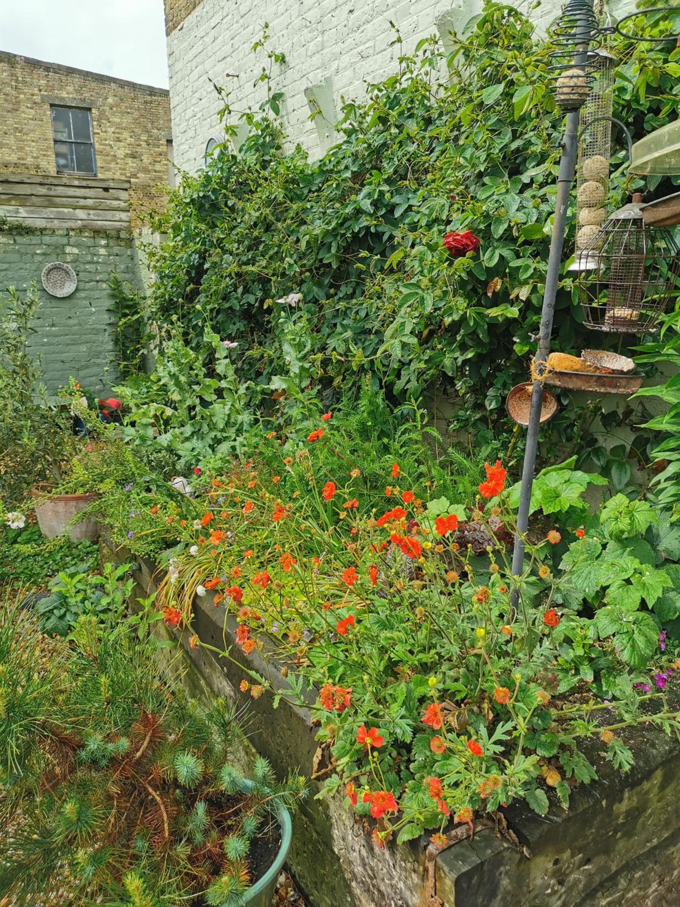 Rosslyn Court
