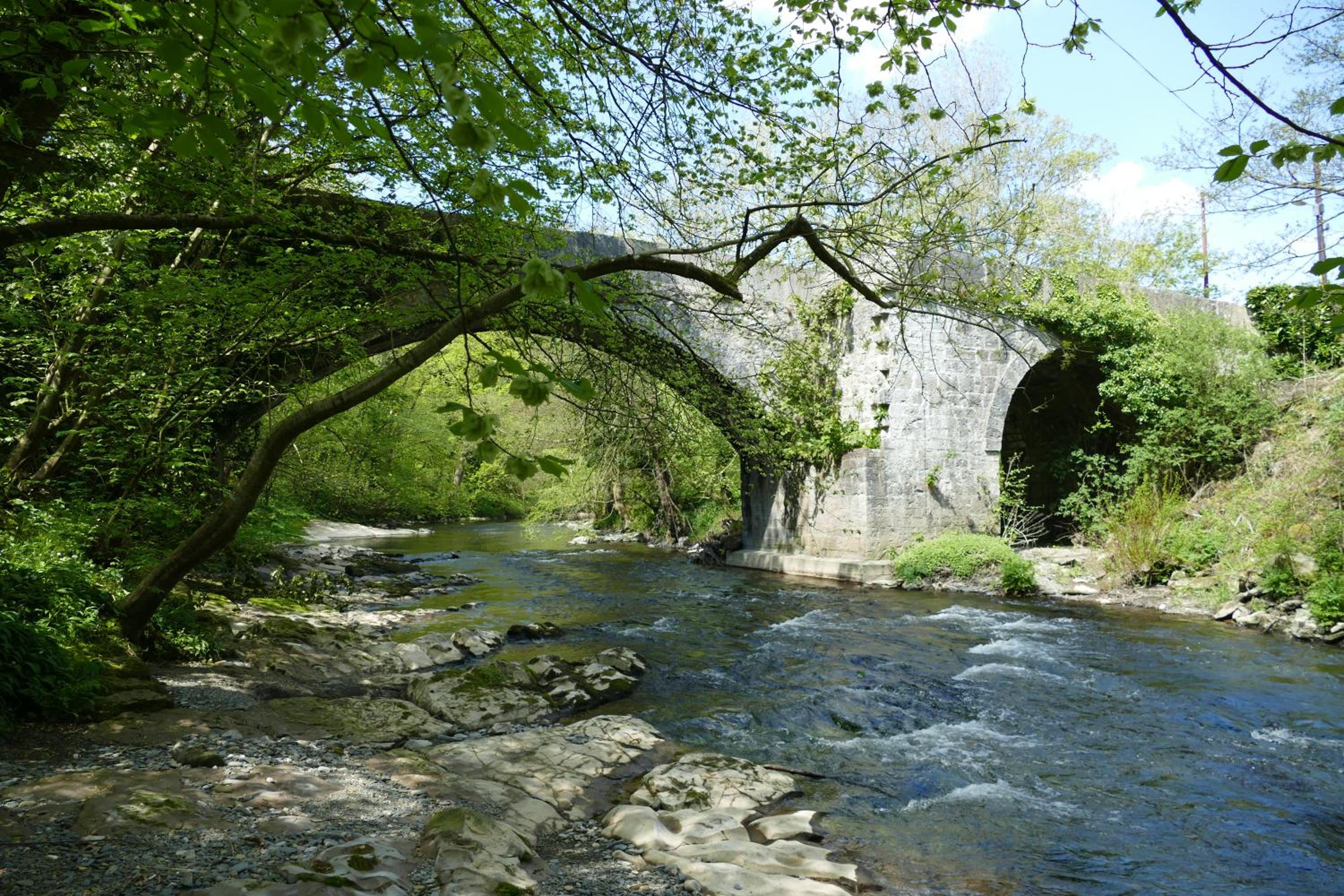 River Cottage view 3