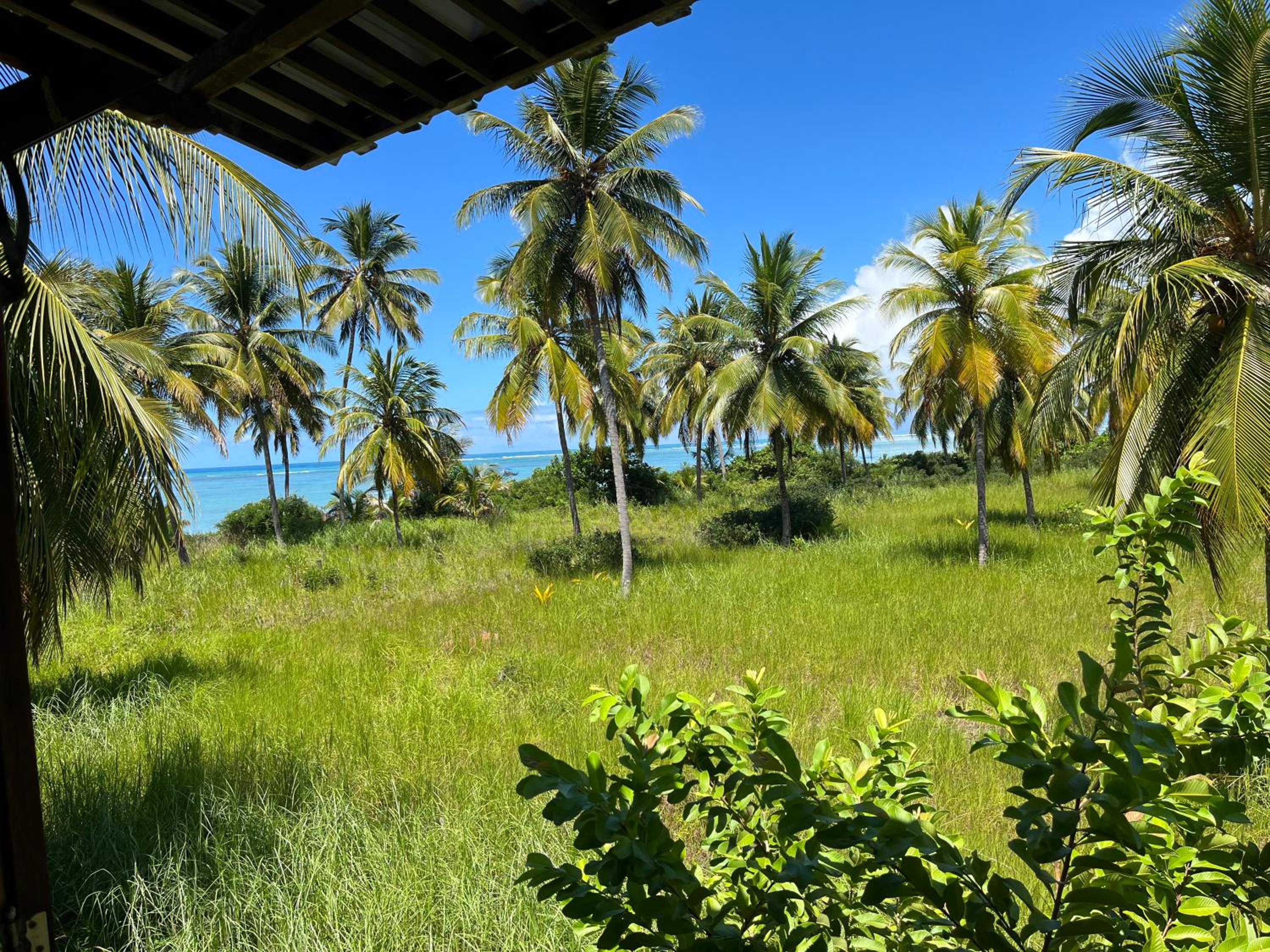 Casa Praia Patacho