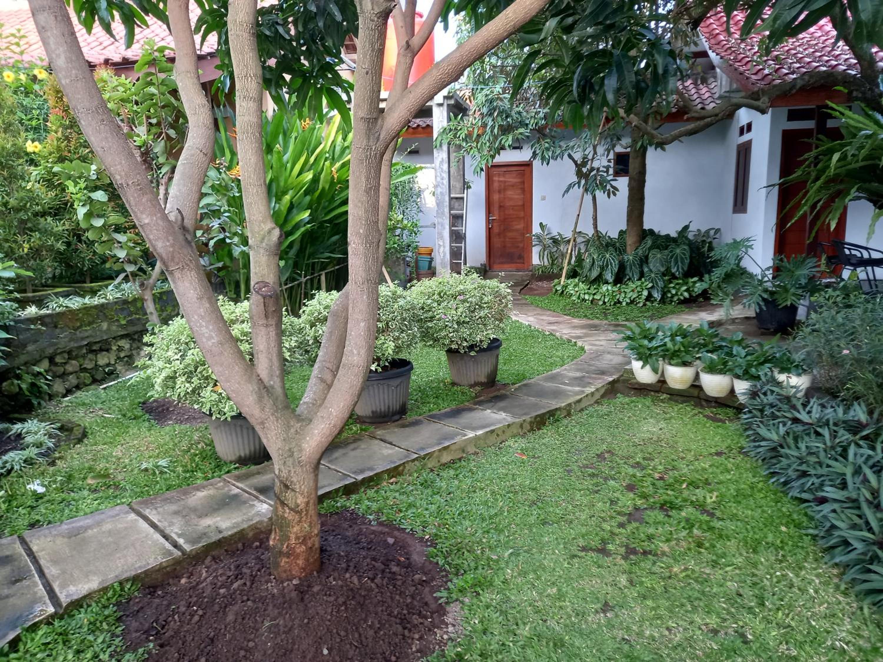 Photo 8