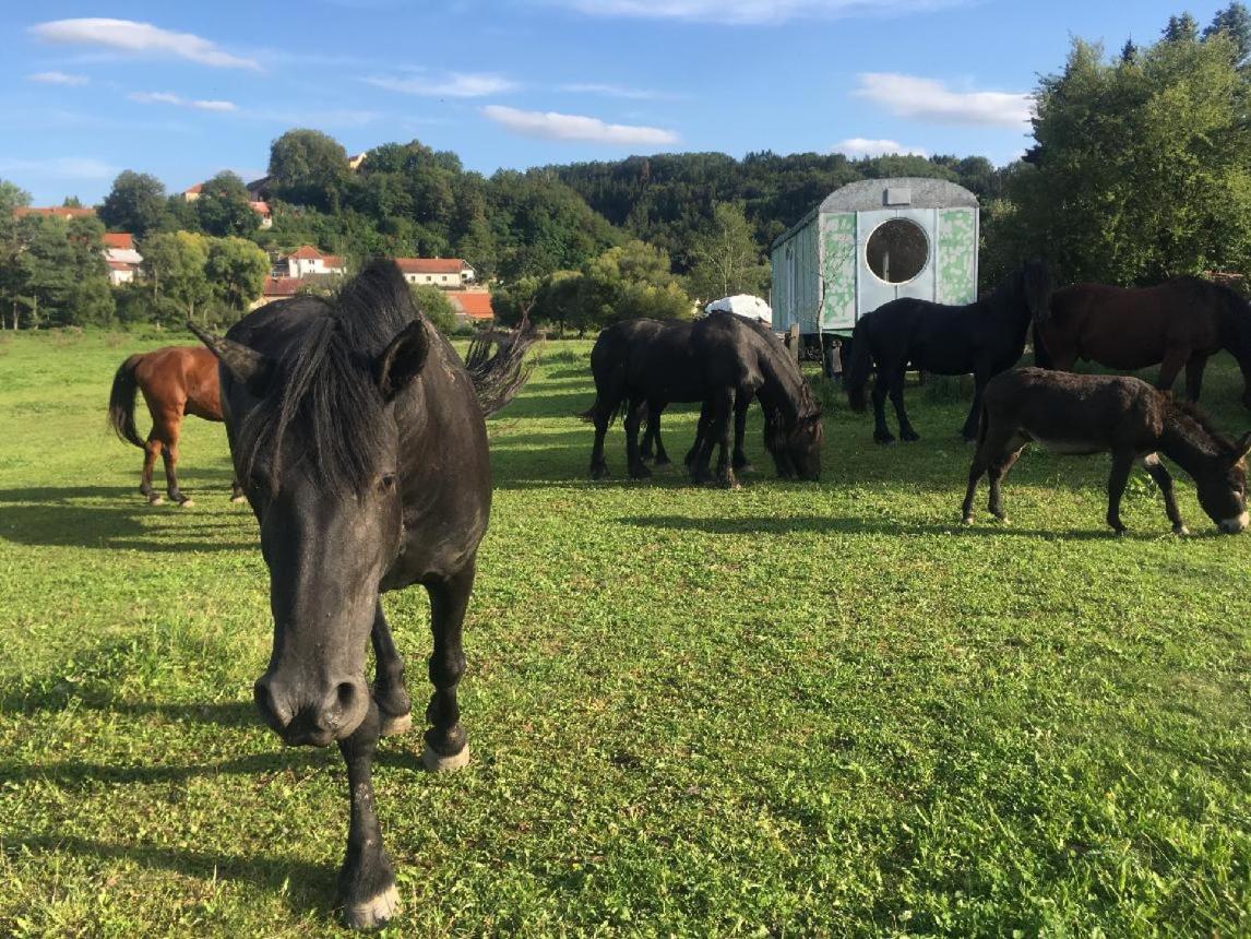 Glamping - stylová maringotka v srdci Ladova kraje, poblíž hlavního města Prahy view 5