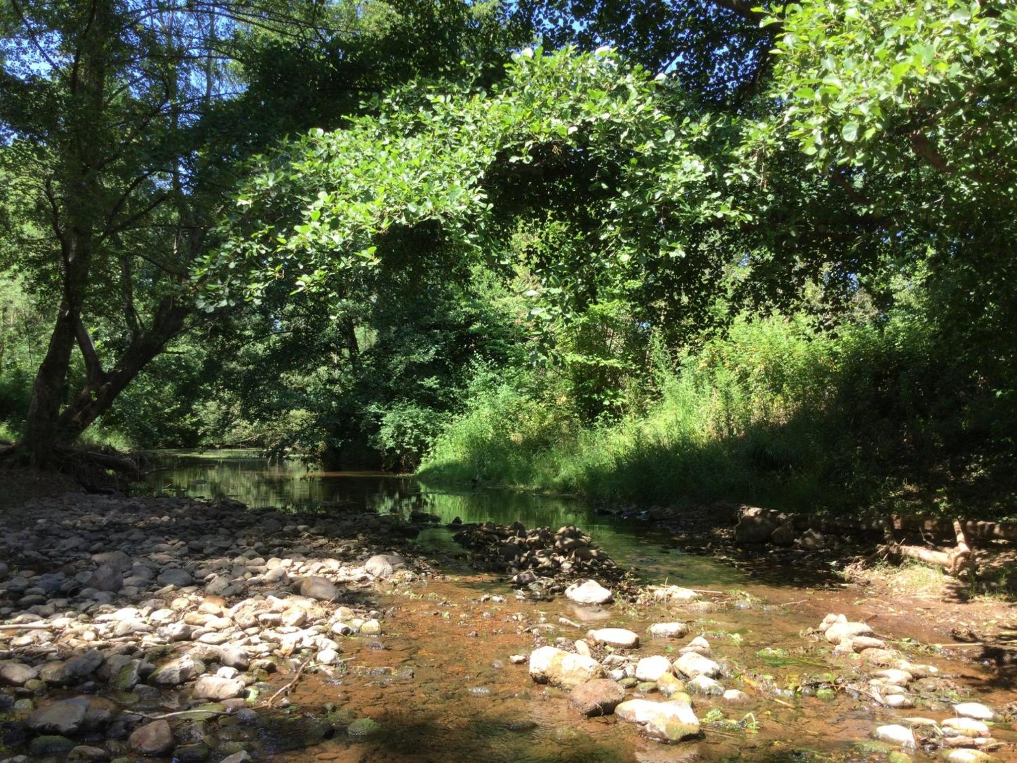 Photo 37