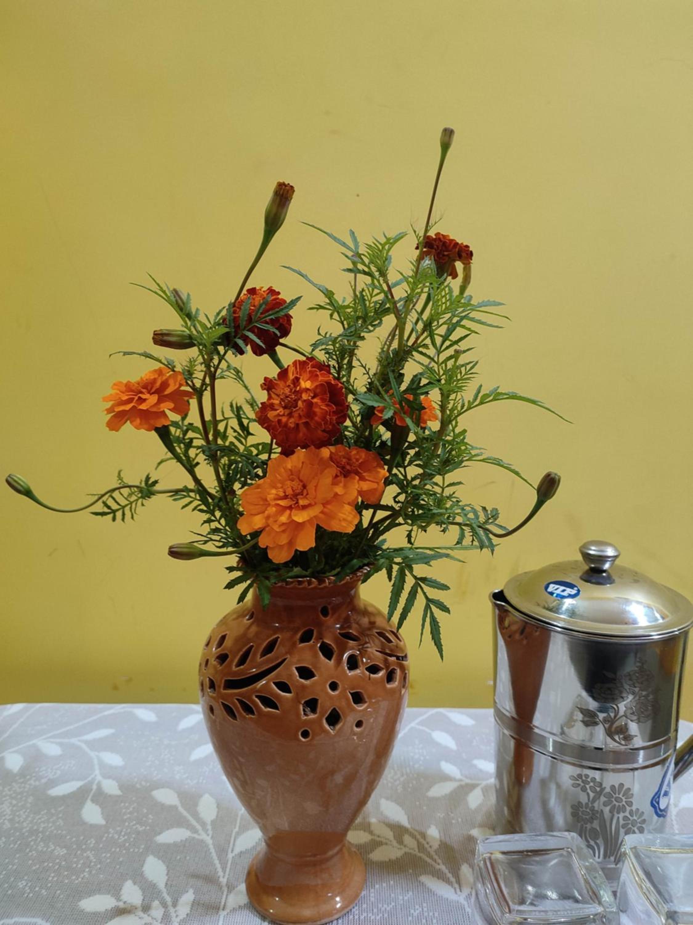 Udita (উদিতা) Eco Homestay Santiniketan view 2