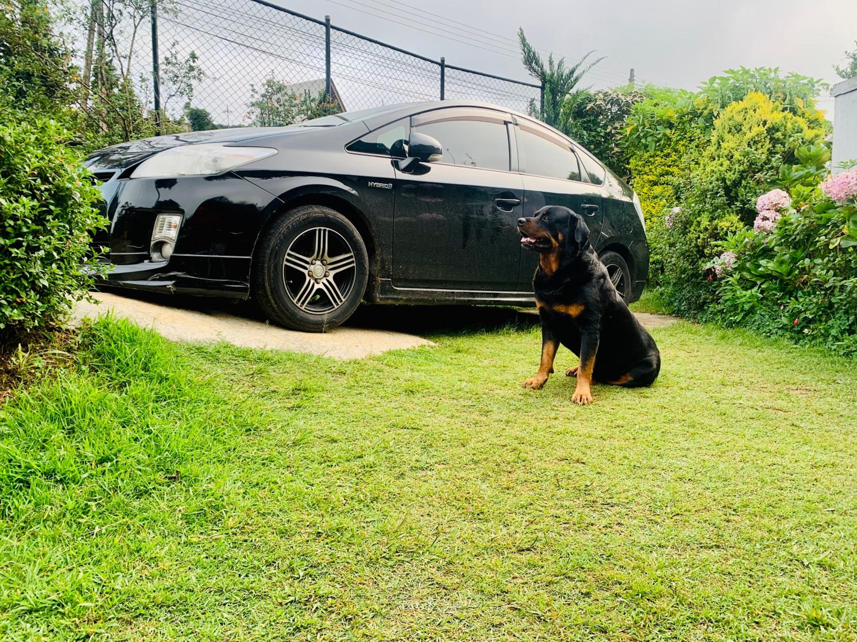 parking