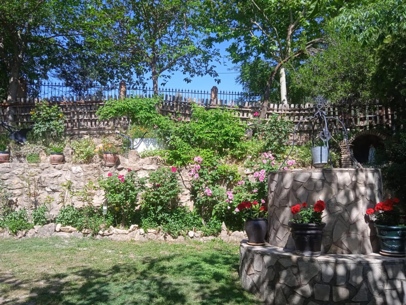 Photo 14