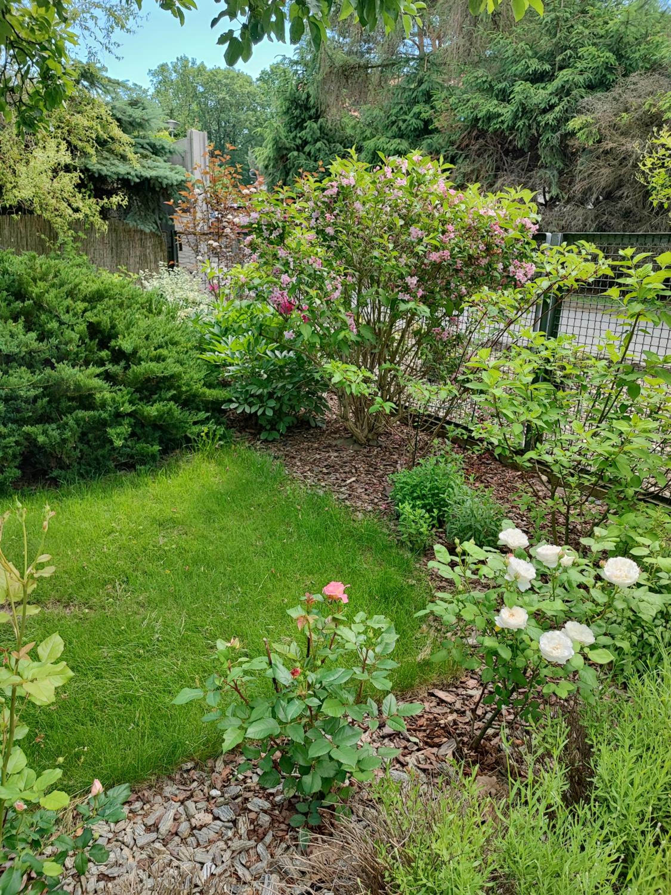 Photo 28