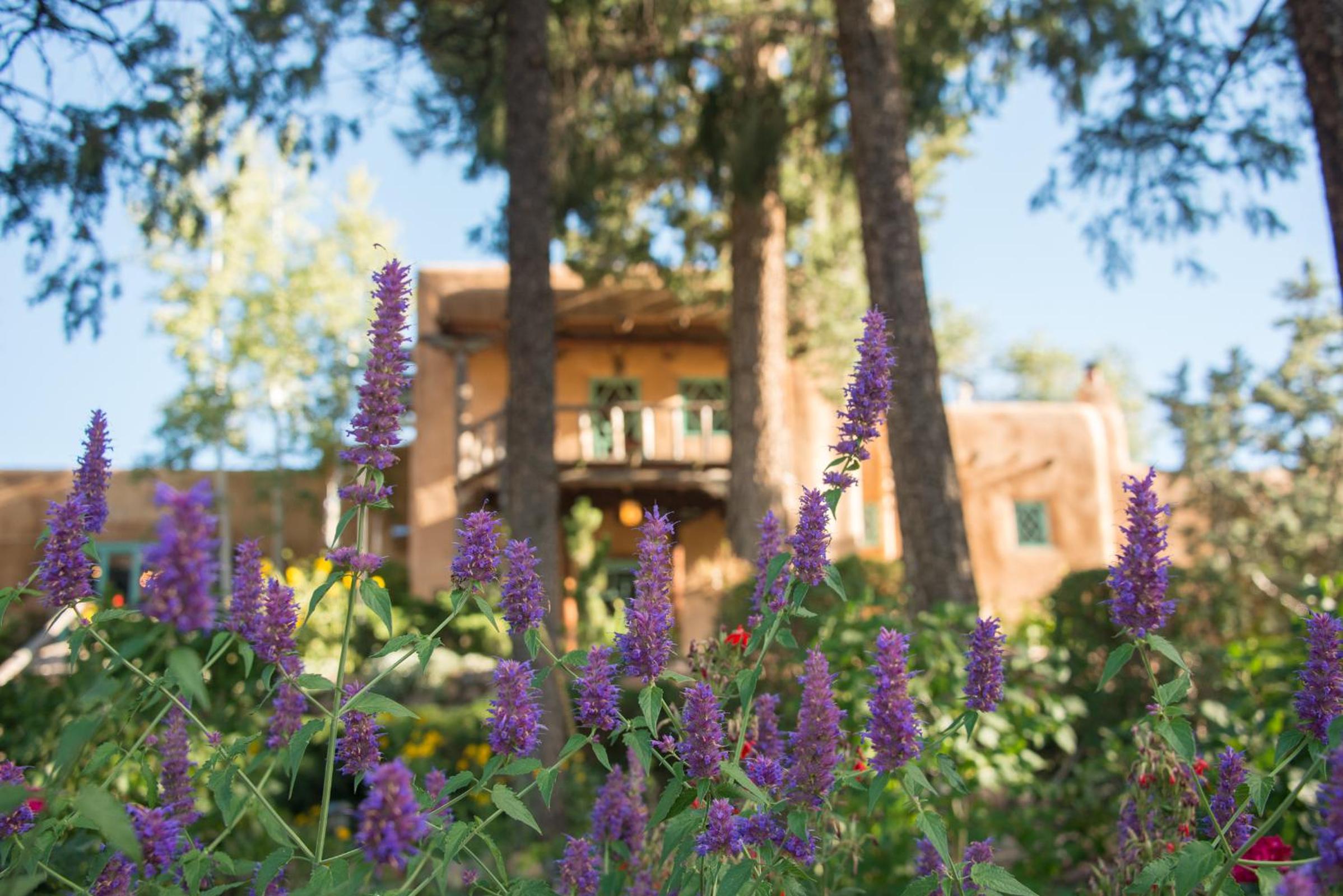 Inn of the Turquoise Bear