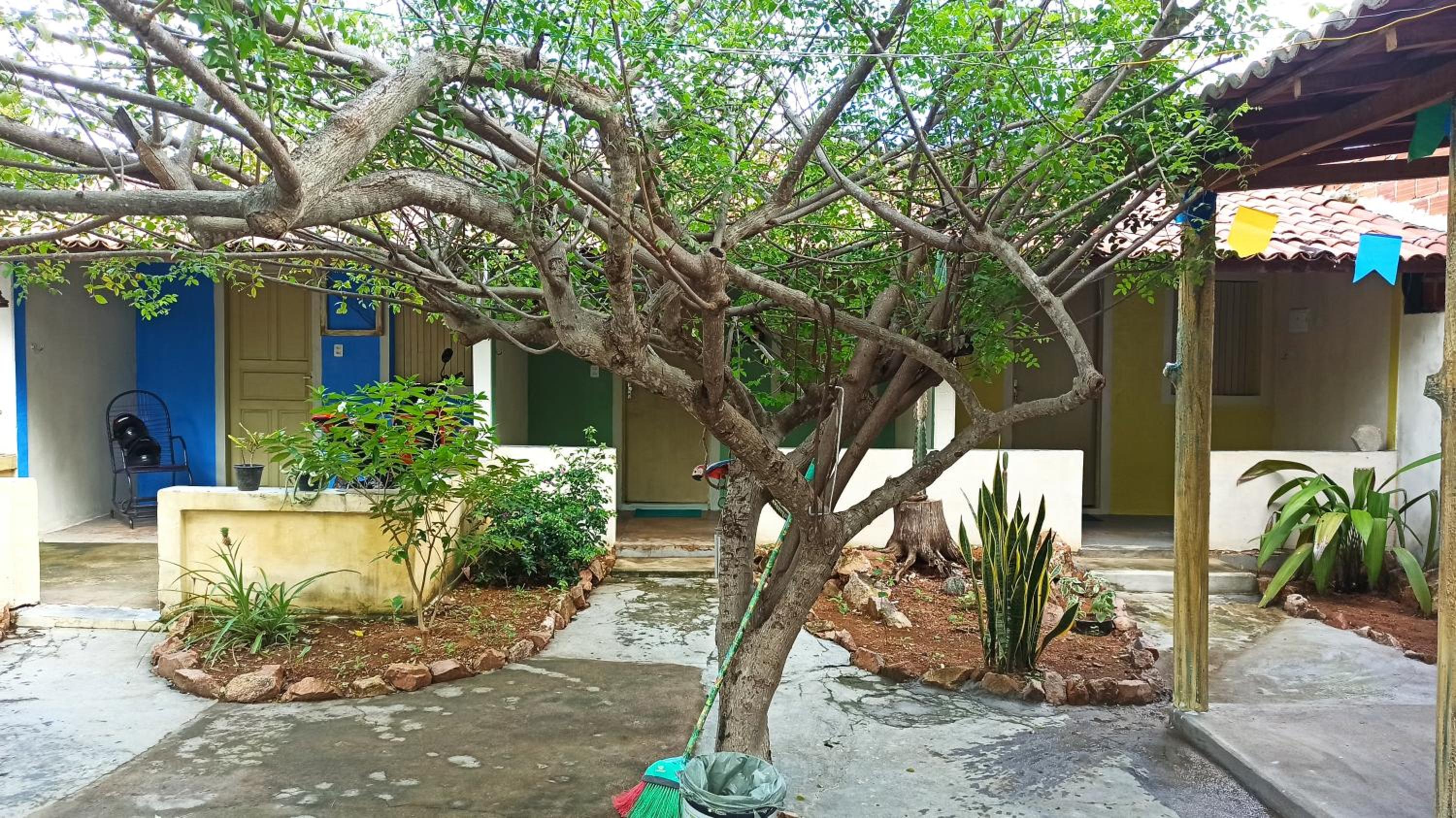Photo 21