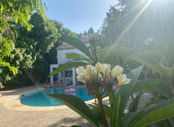 Villa by the Pyramids