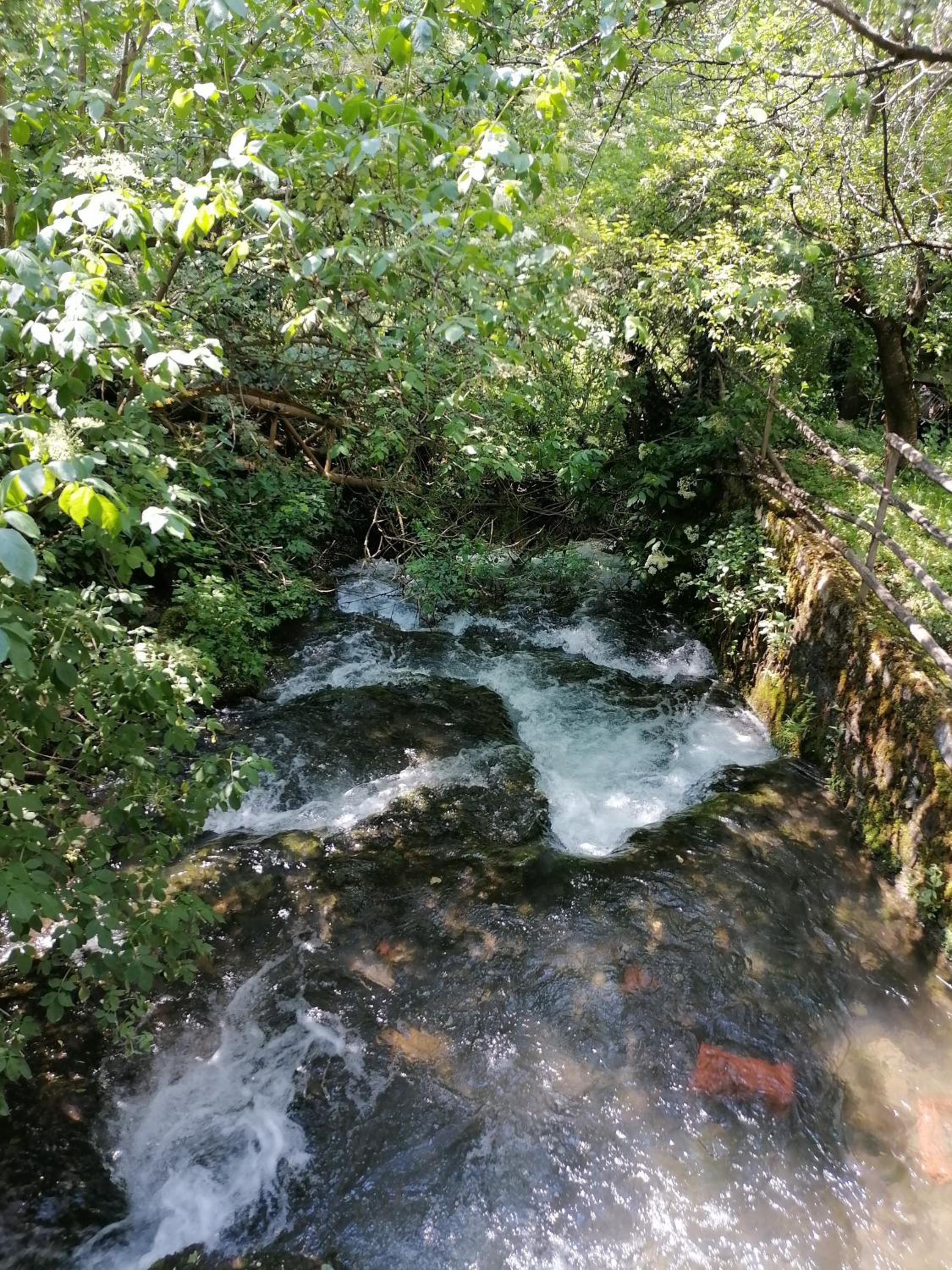 Photo 13