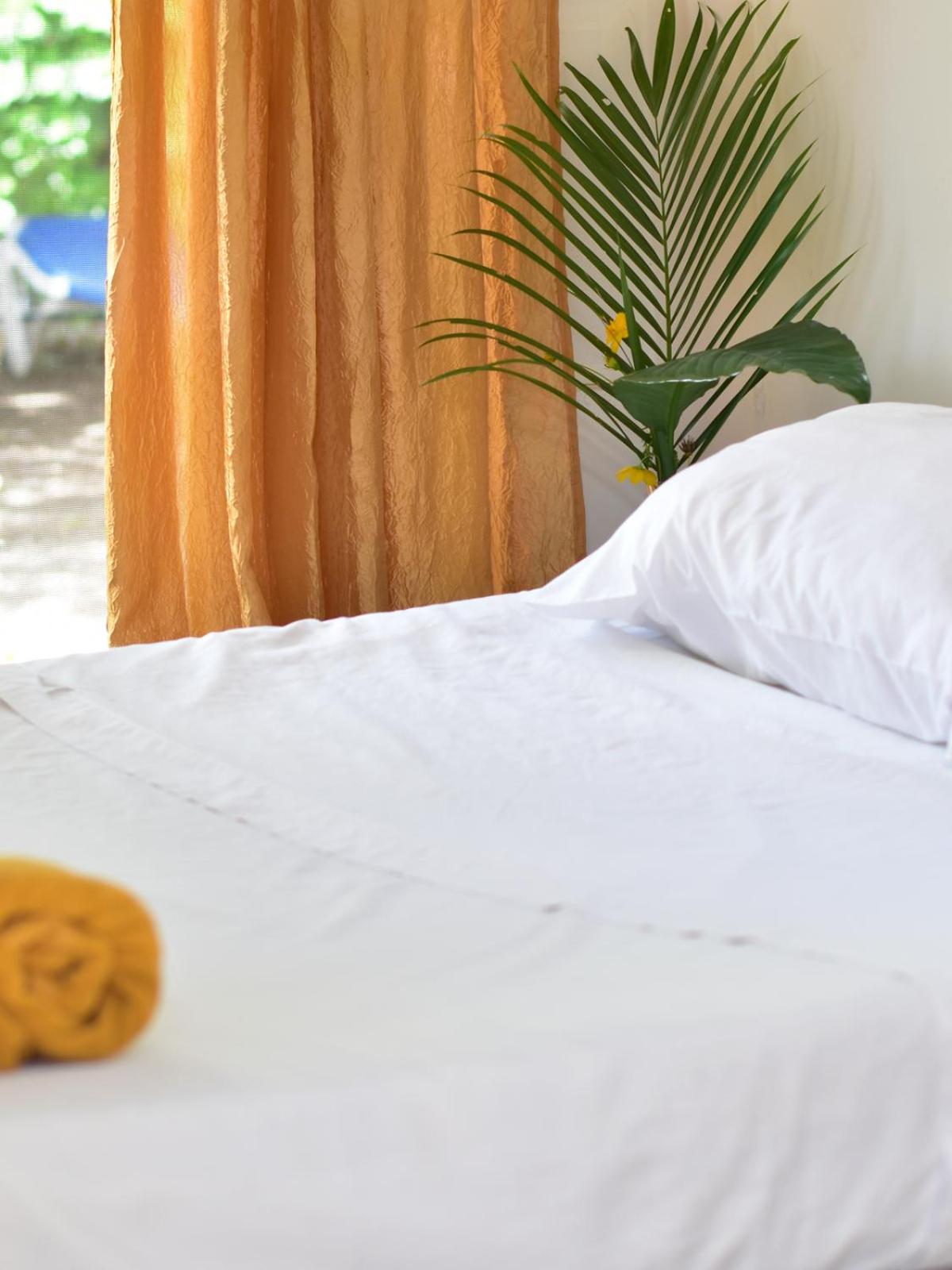 Guesthouse Congo Tempisque