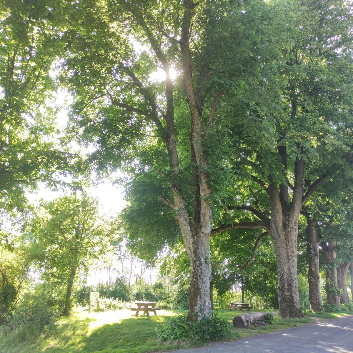 Photo 45