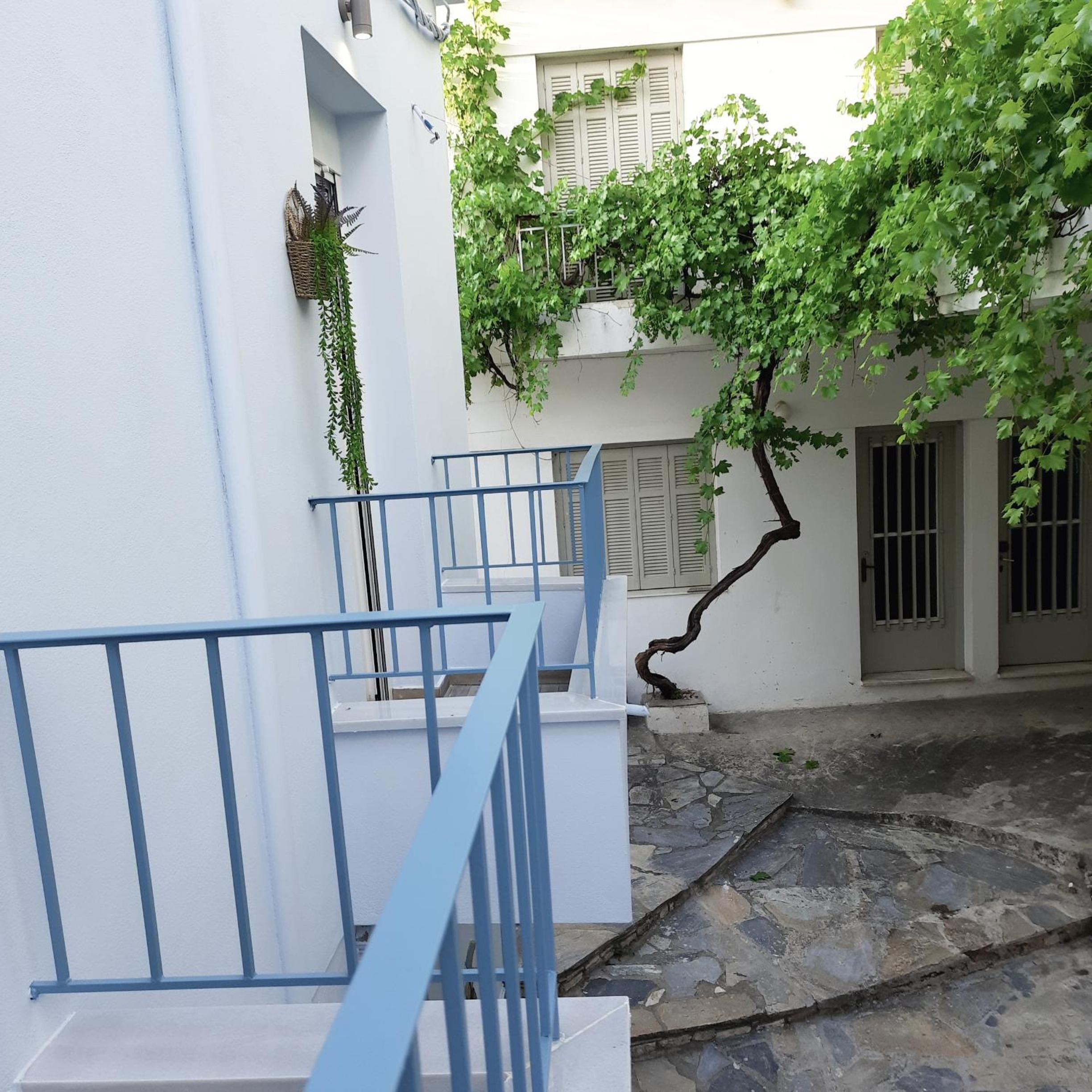Central Apartment