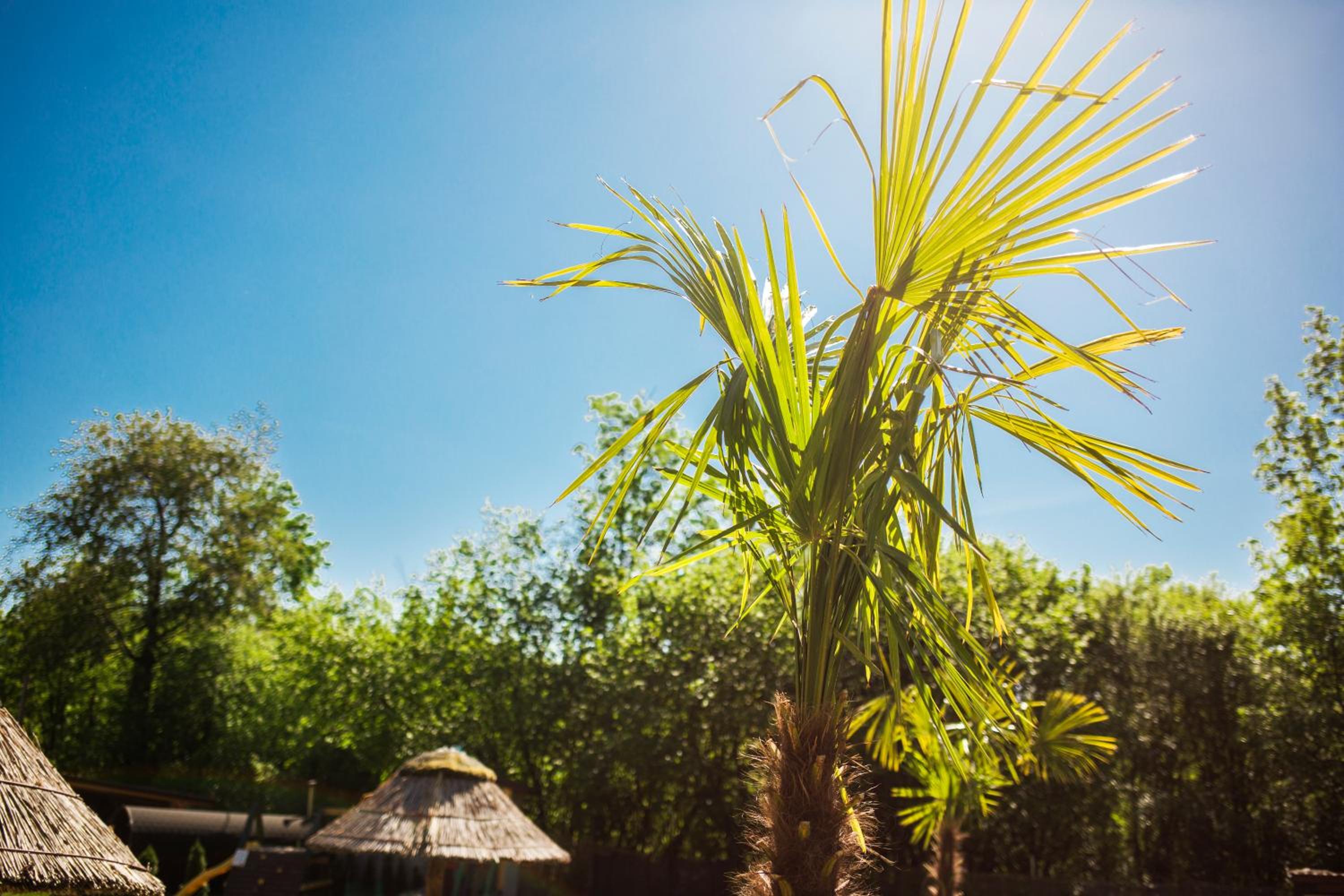 Aloha Glamp - Całoroczny glamping nad rzeką z prywatną balią - Stok narciarski, góry, lasy, sauna