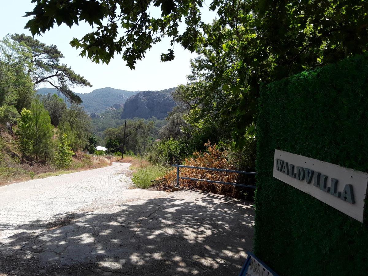 Waldvilla view 4