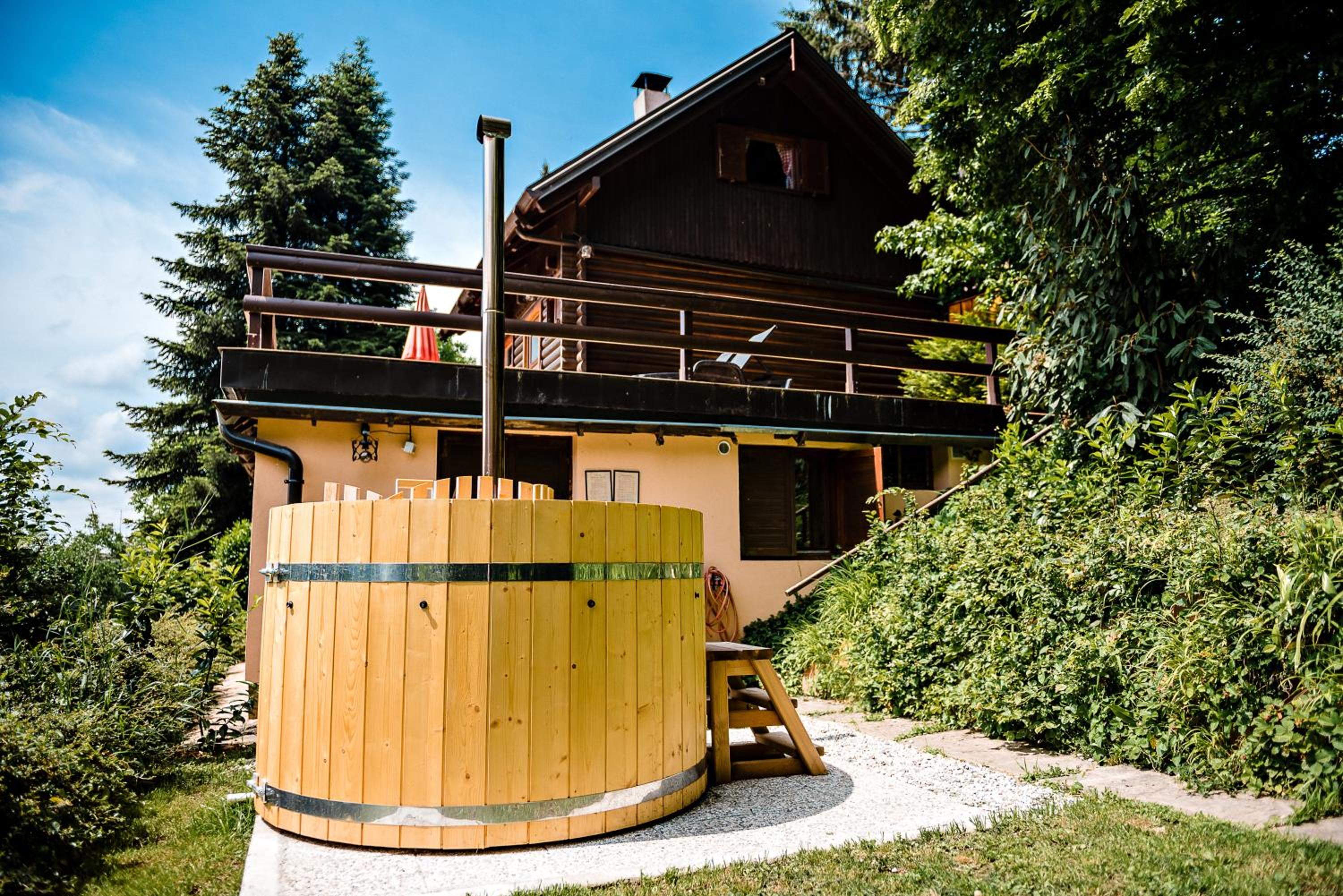 Chalet FOREST Villa view 2