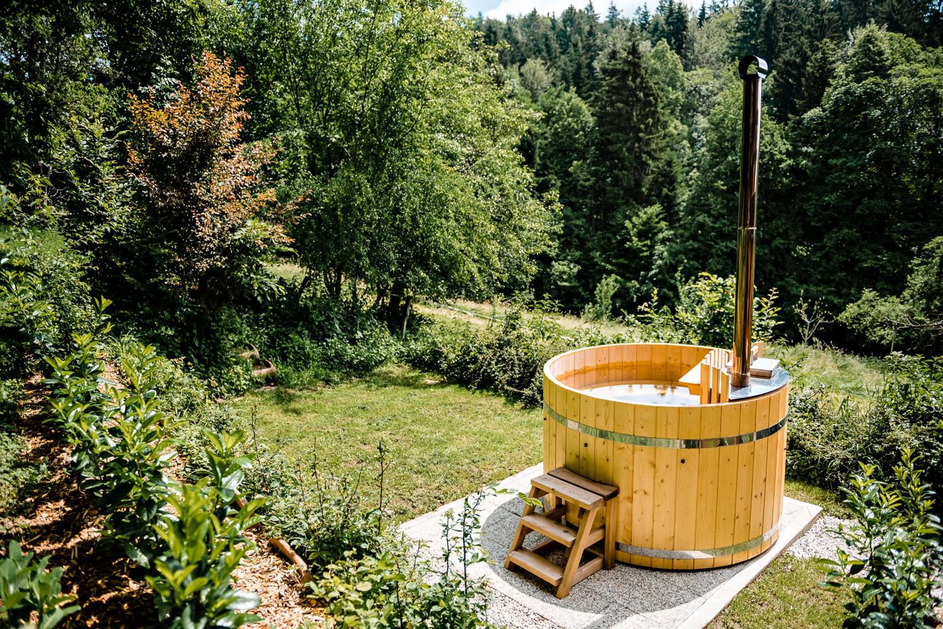 Chalet FOREST Villa view 4