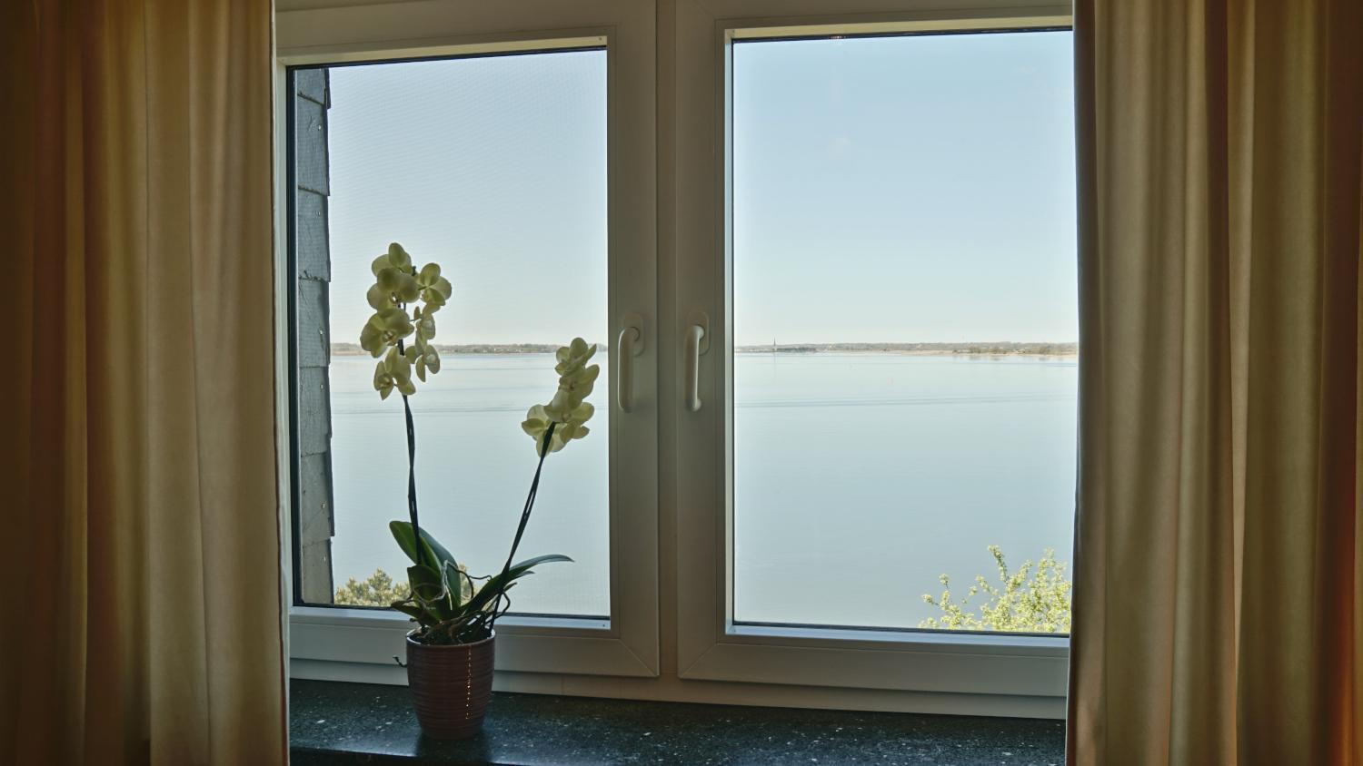 Schlei-Traum