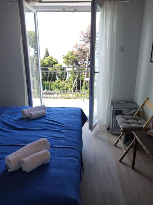 Photo 44