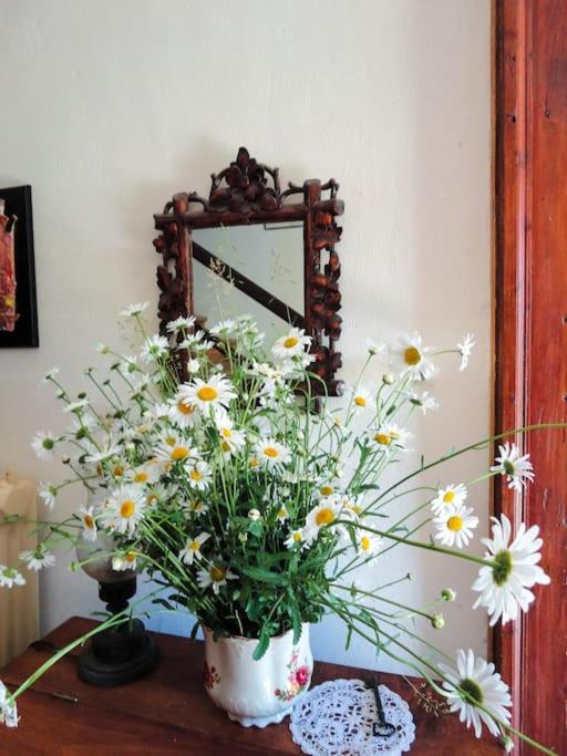 A lovely house in Vipava valley view 2