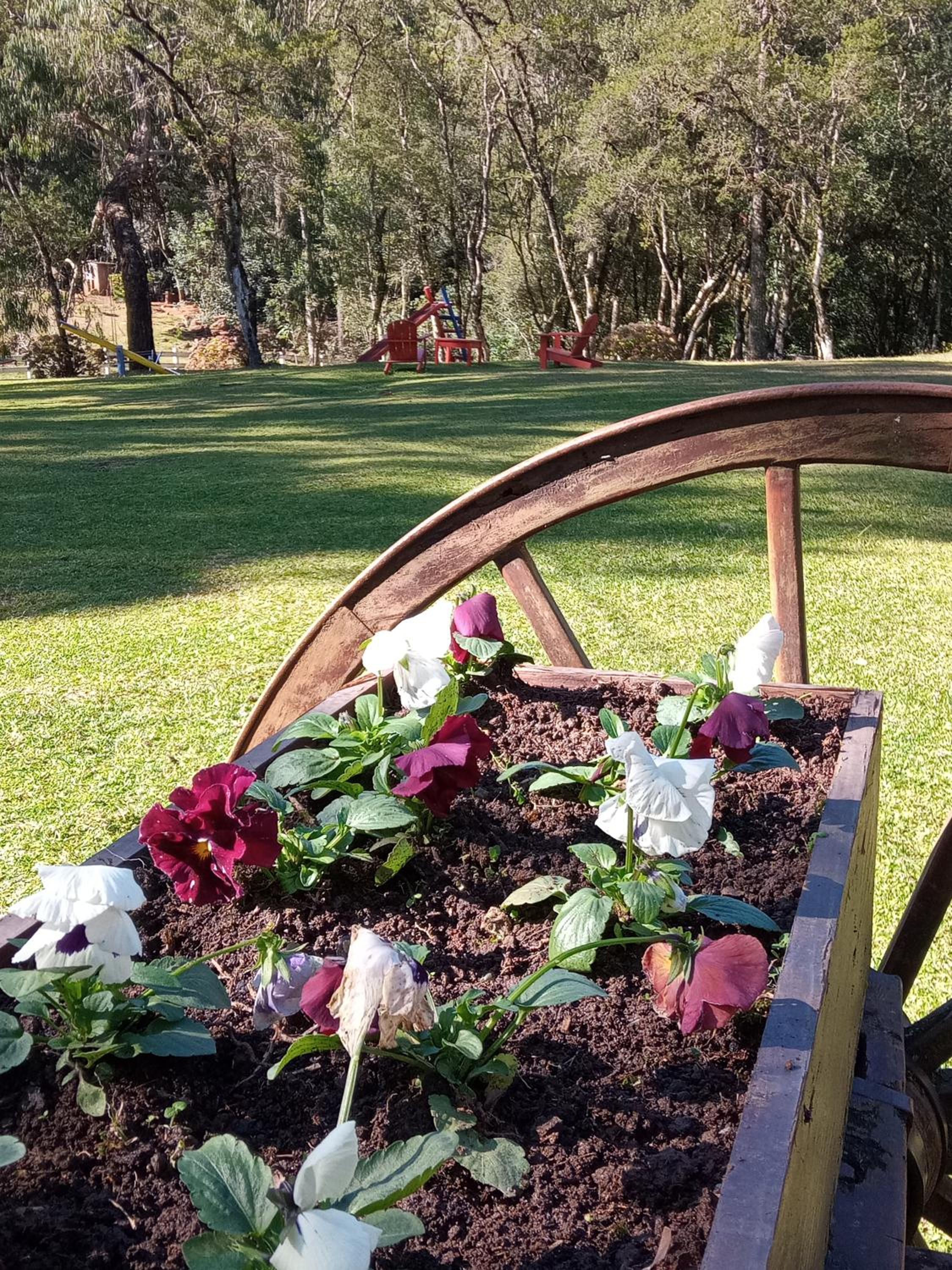 Magia das Hortênsias - Natureza, Hidromassagem e Muita Tranquilidade!