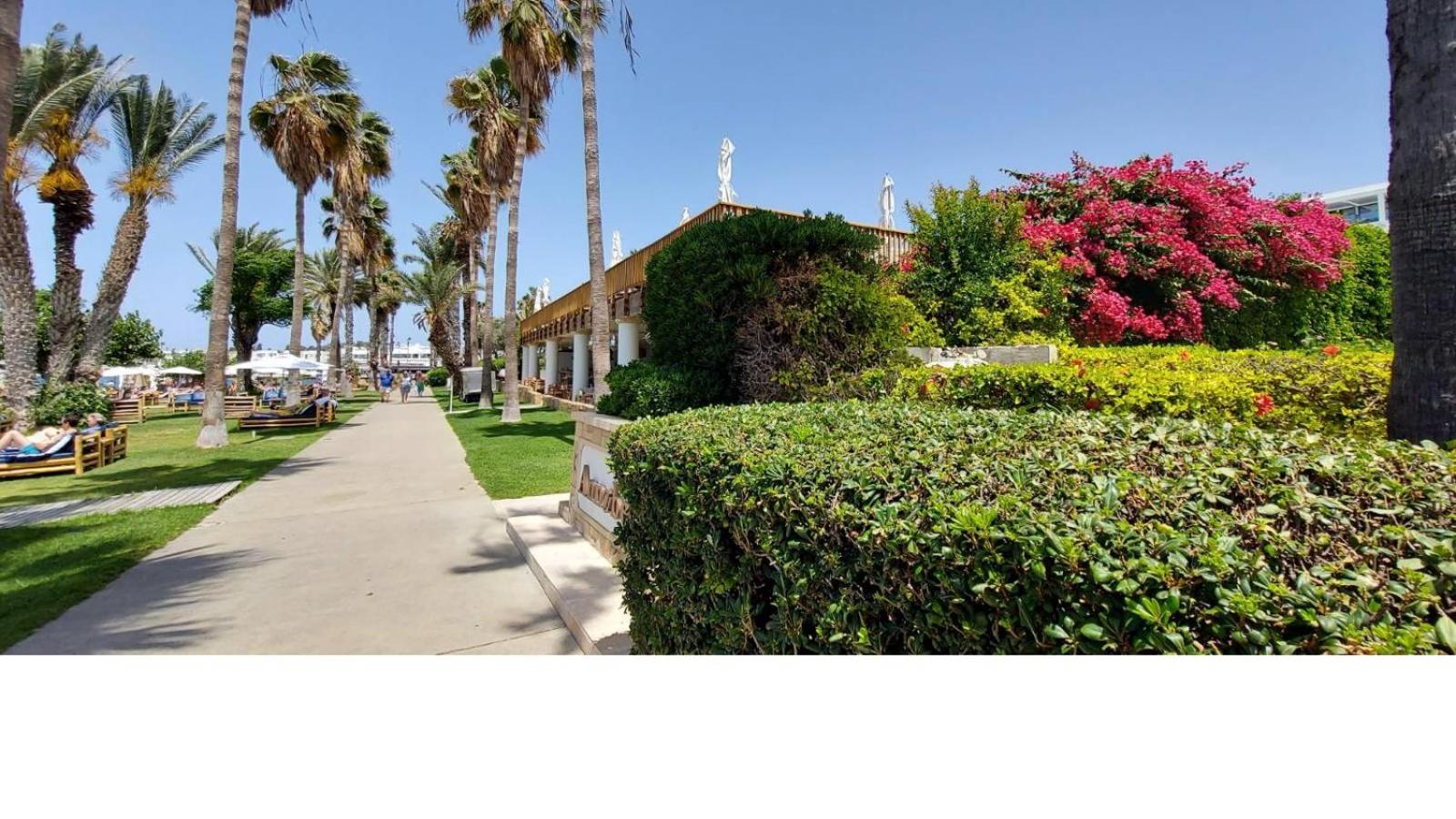 Cyprusmylove