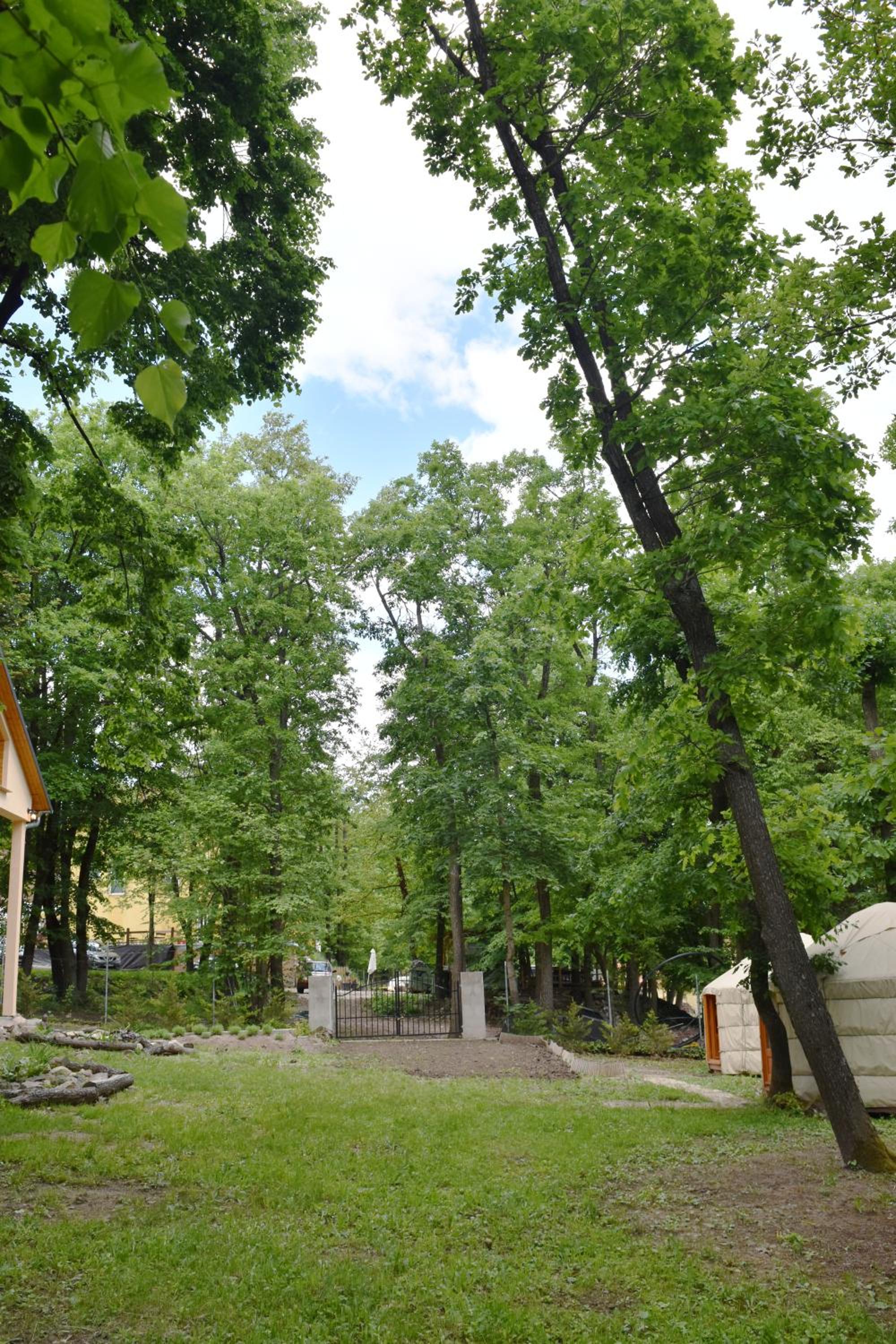 Photo 26