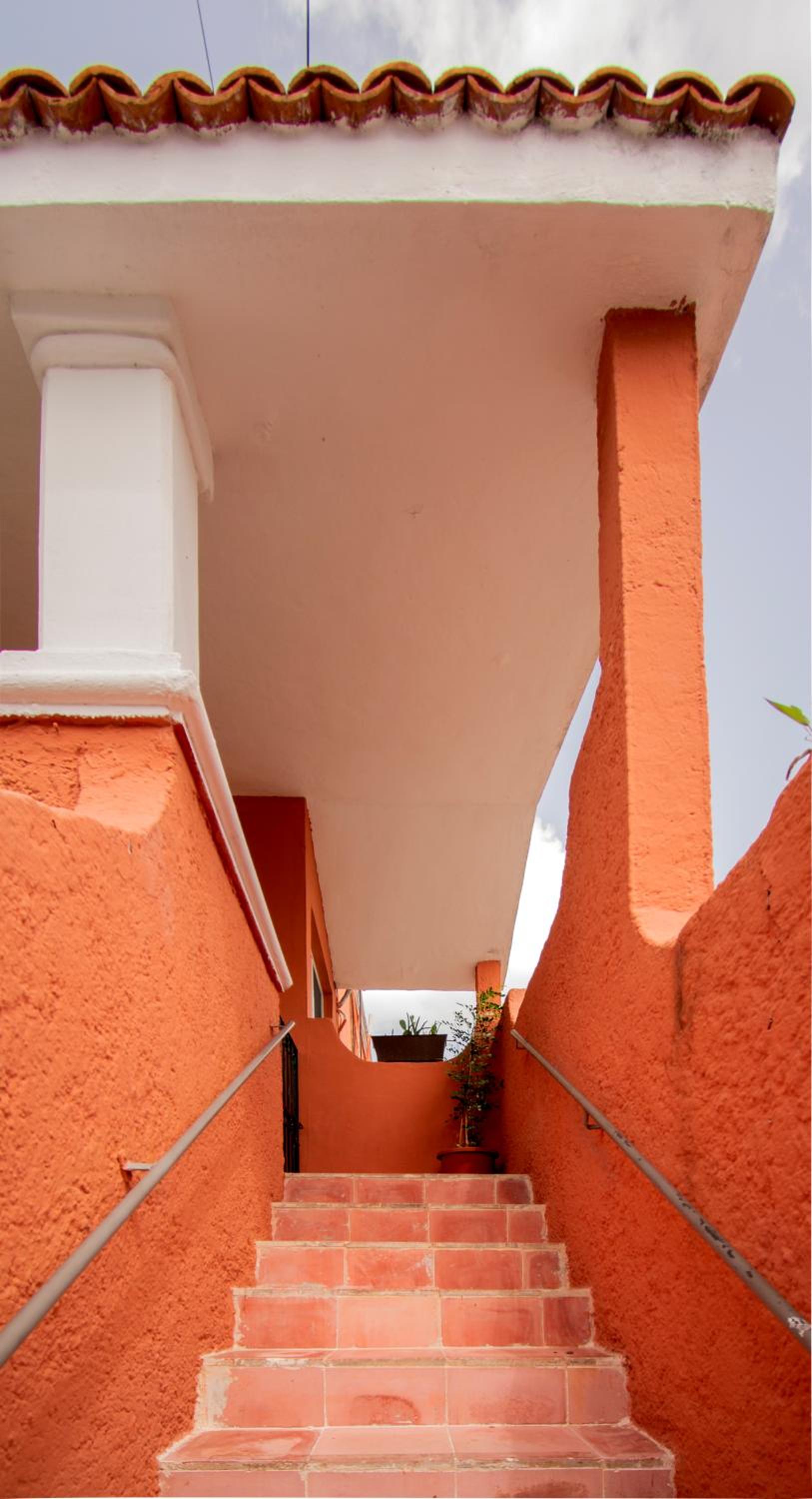 Hotel Budgies - Image 1