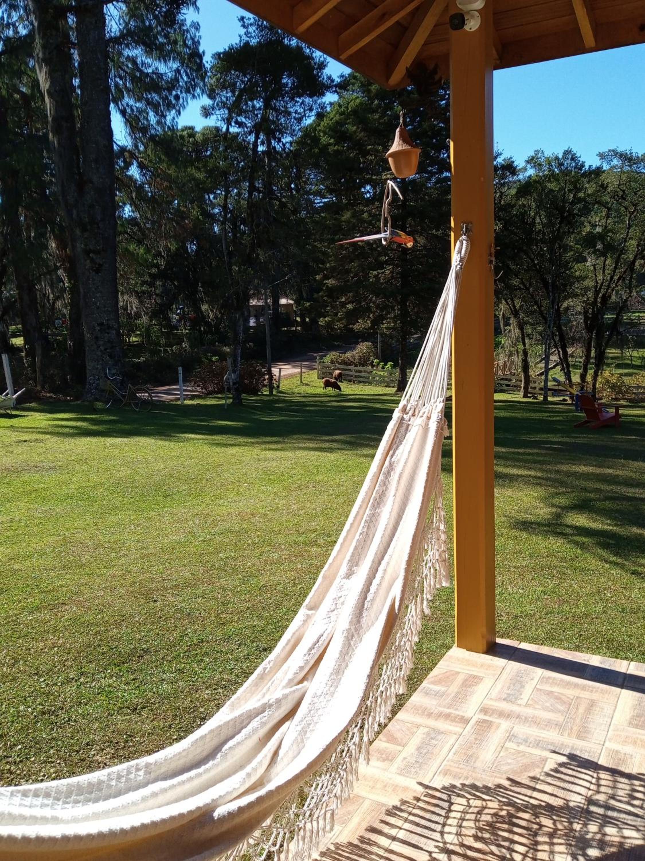 Magia das Hortênsias - Natureza, Hidromassagem e Muita Tranquilidade!