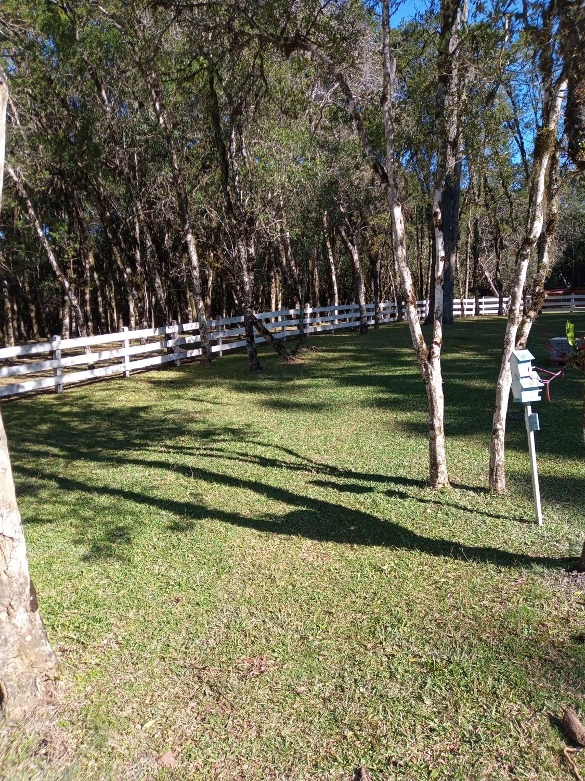 Magia das Hortênsias - Natureza, Hidromassagem e Muita Tranquilidade!