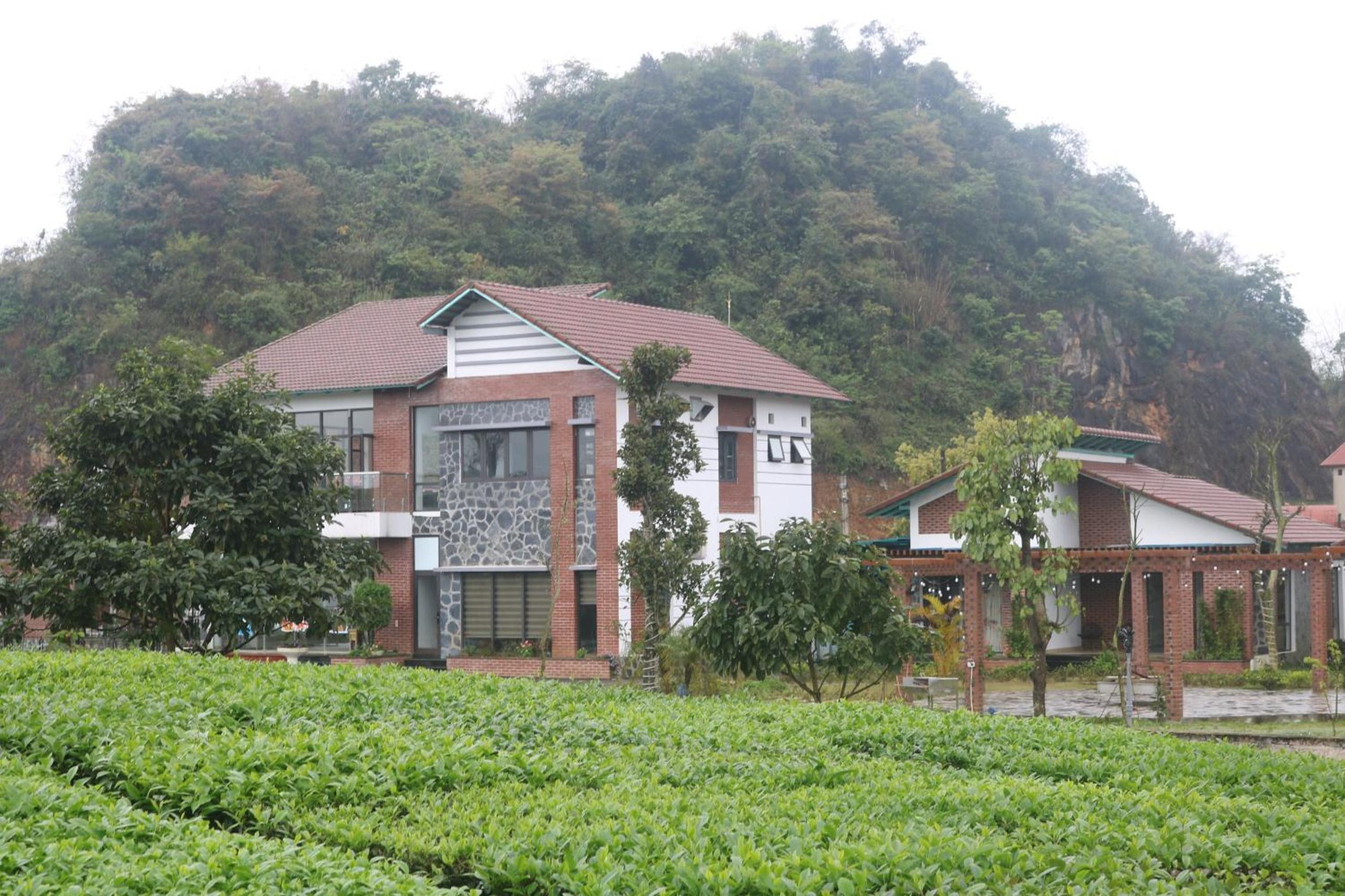 Emopea Moc Chau view 2