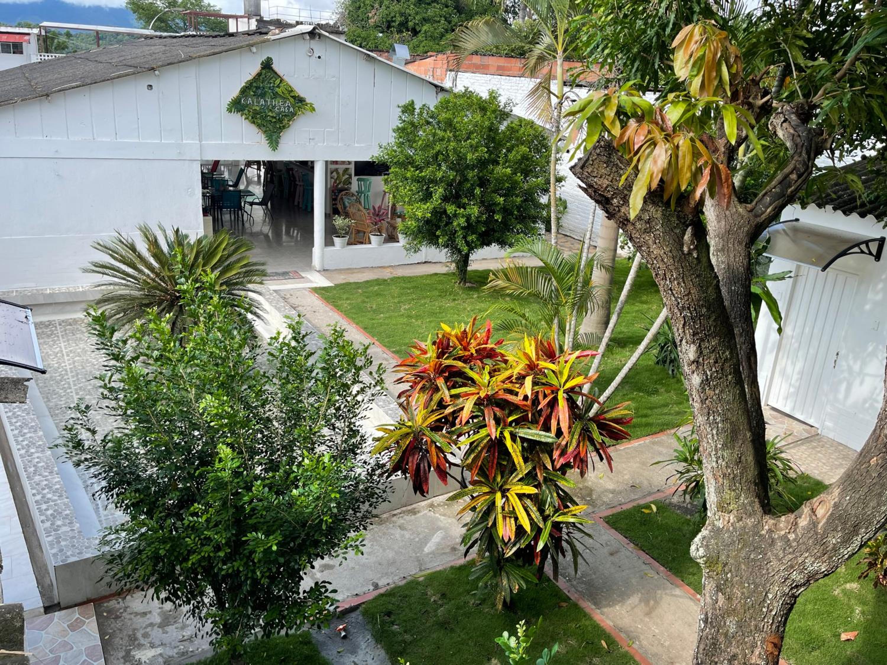 garden