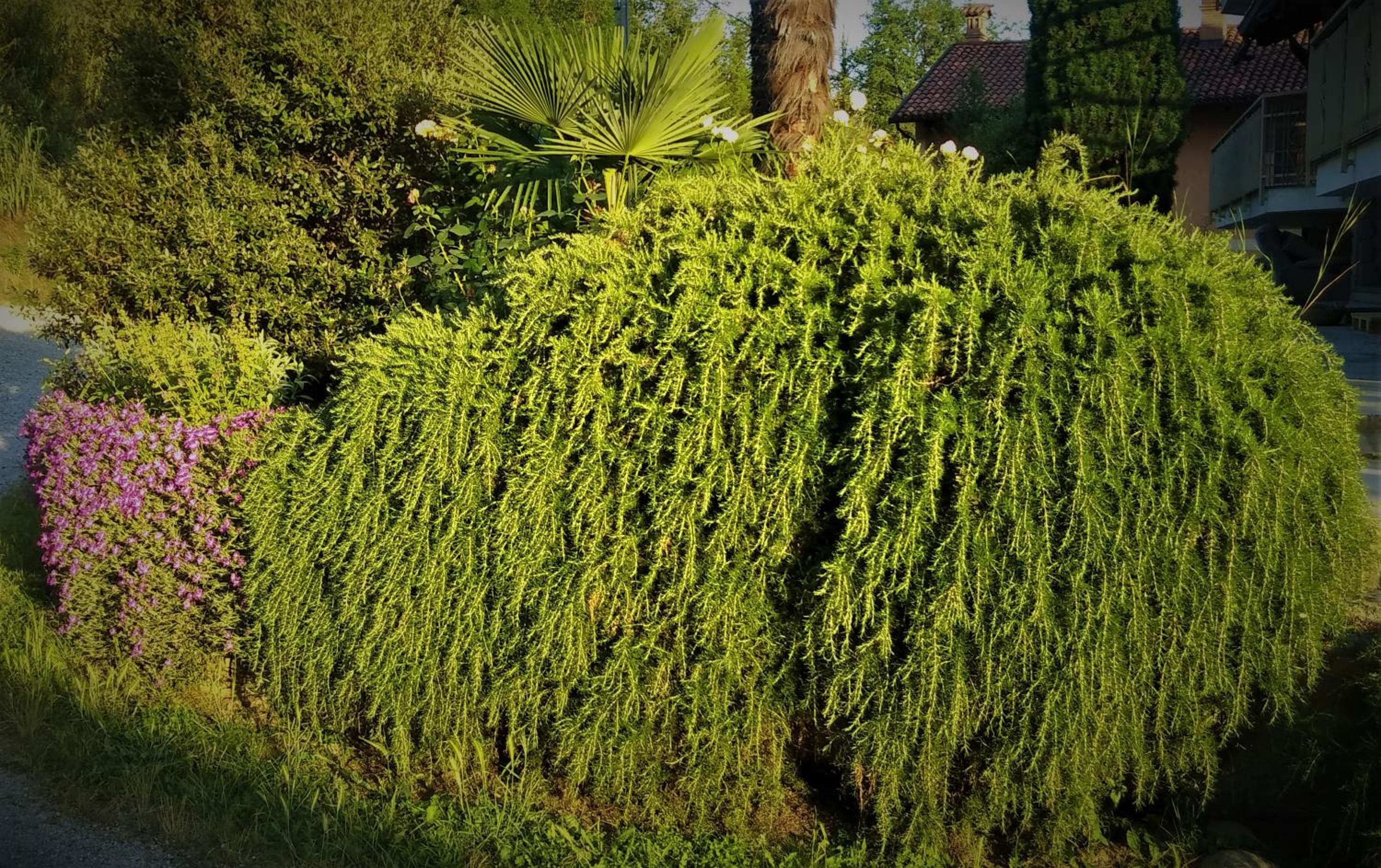 Photo 19