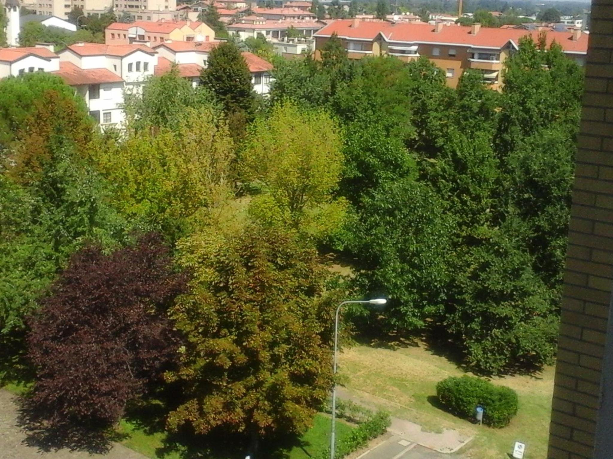 Photo 36