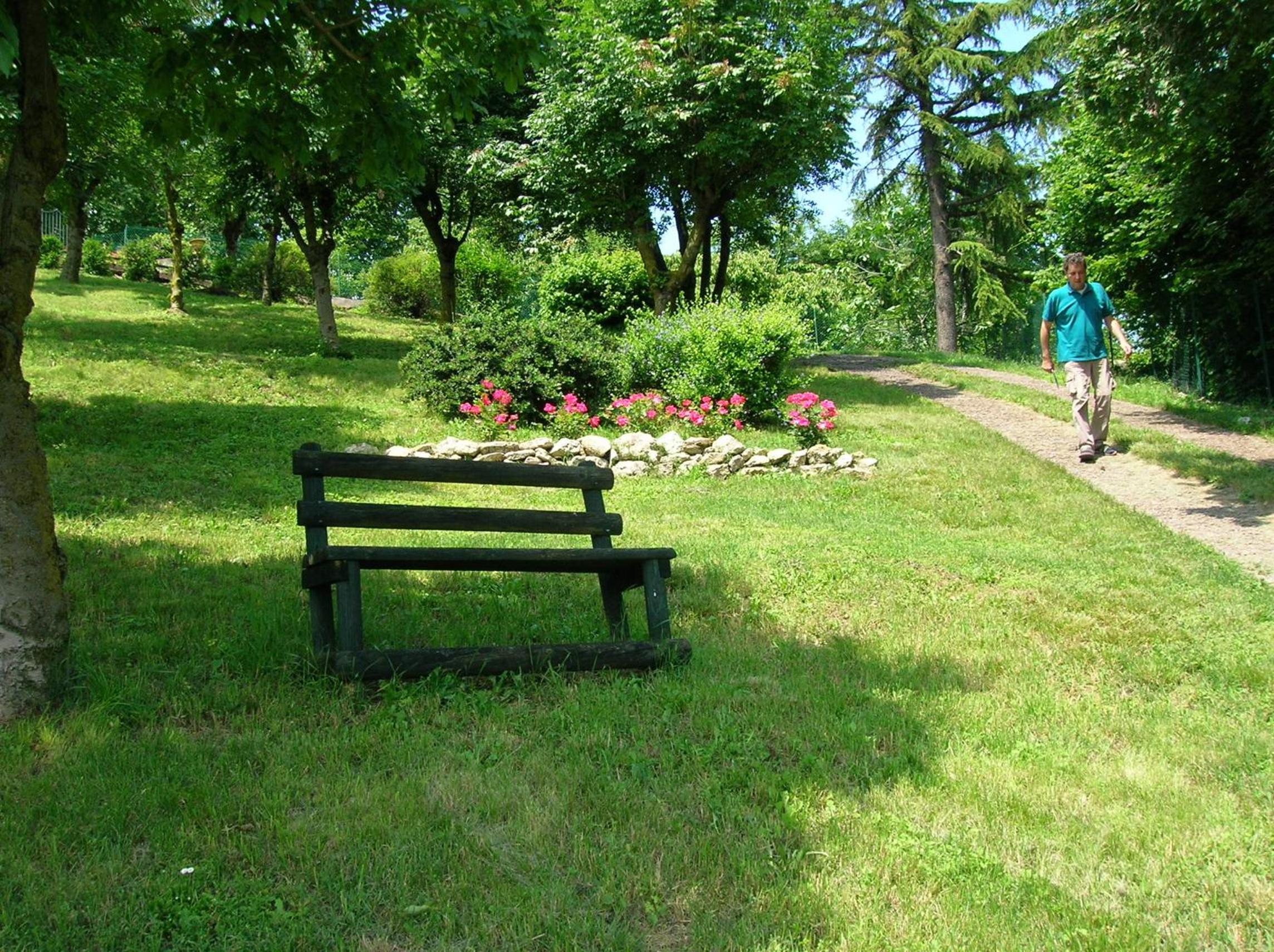 B&B Il Suono del Bosco view 4