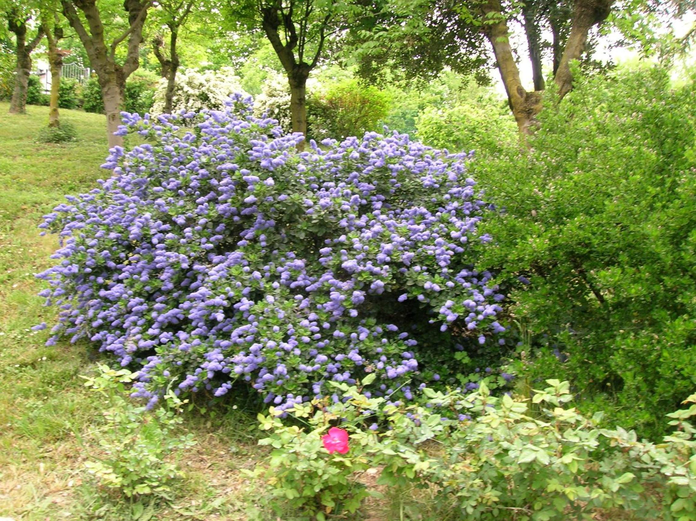Photo 22