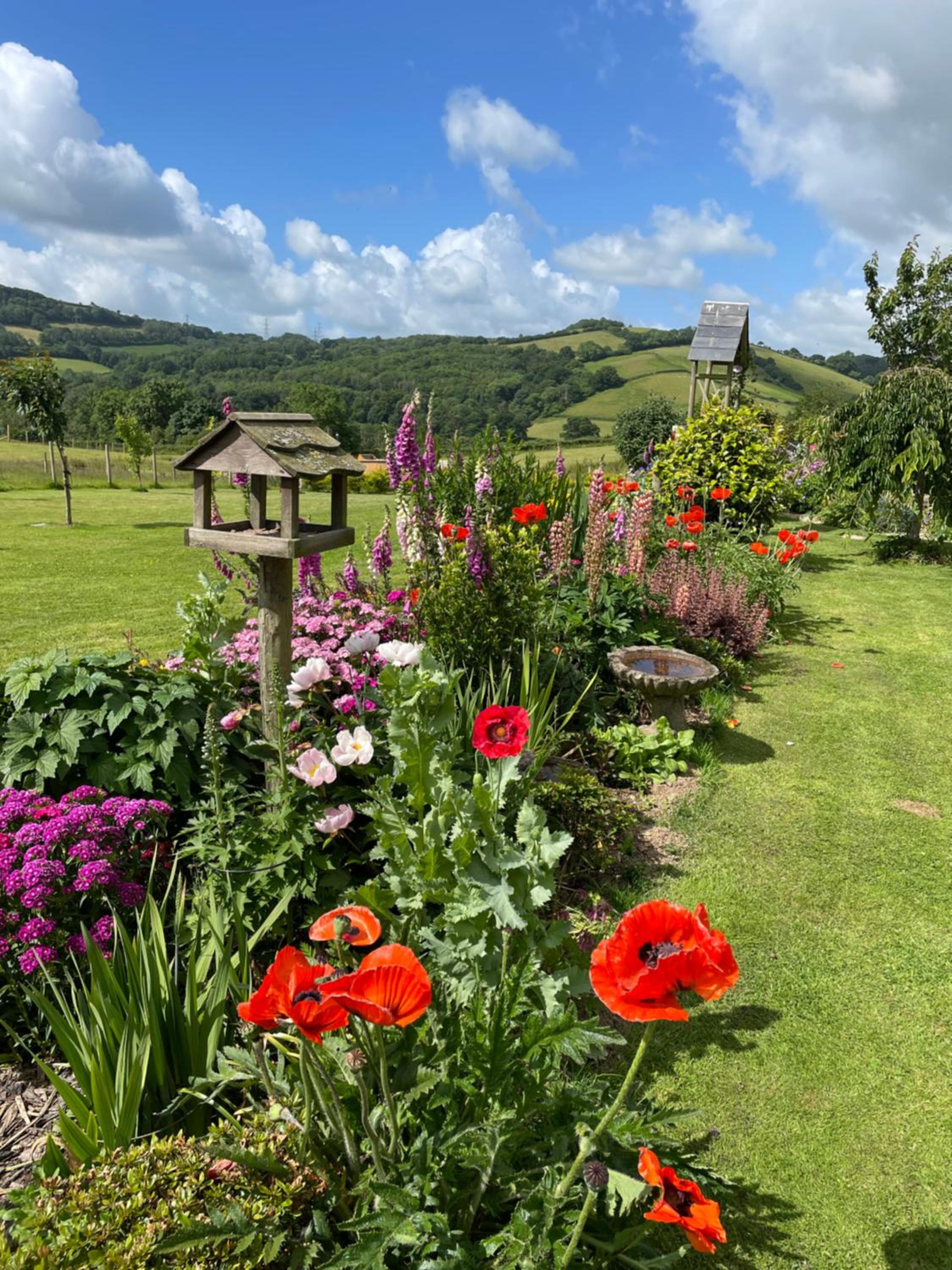 Westerley Country B & B with exclusive Guest lounge view 4