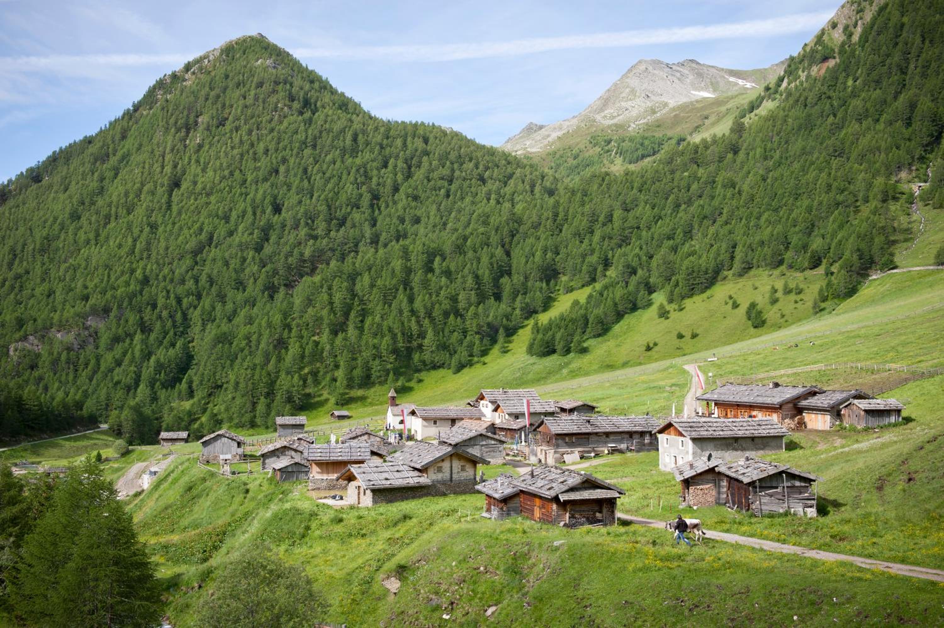 Traterhof-Spinges view 5