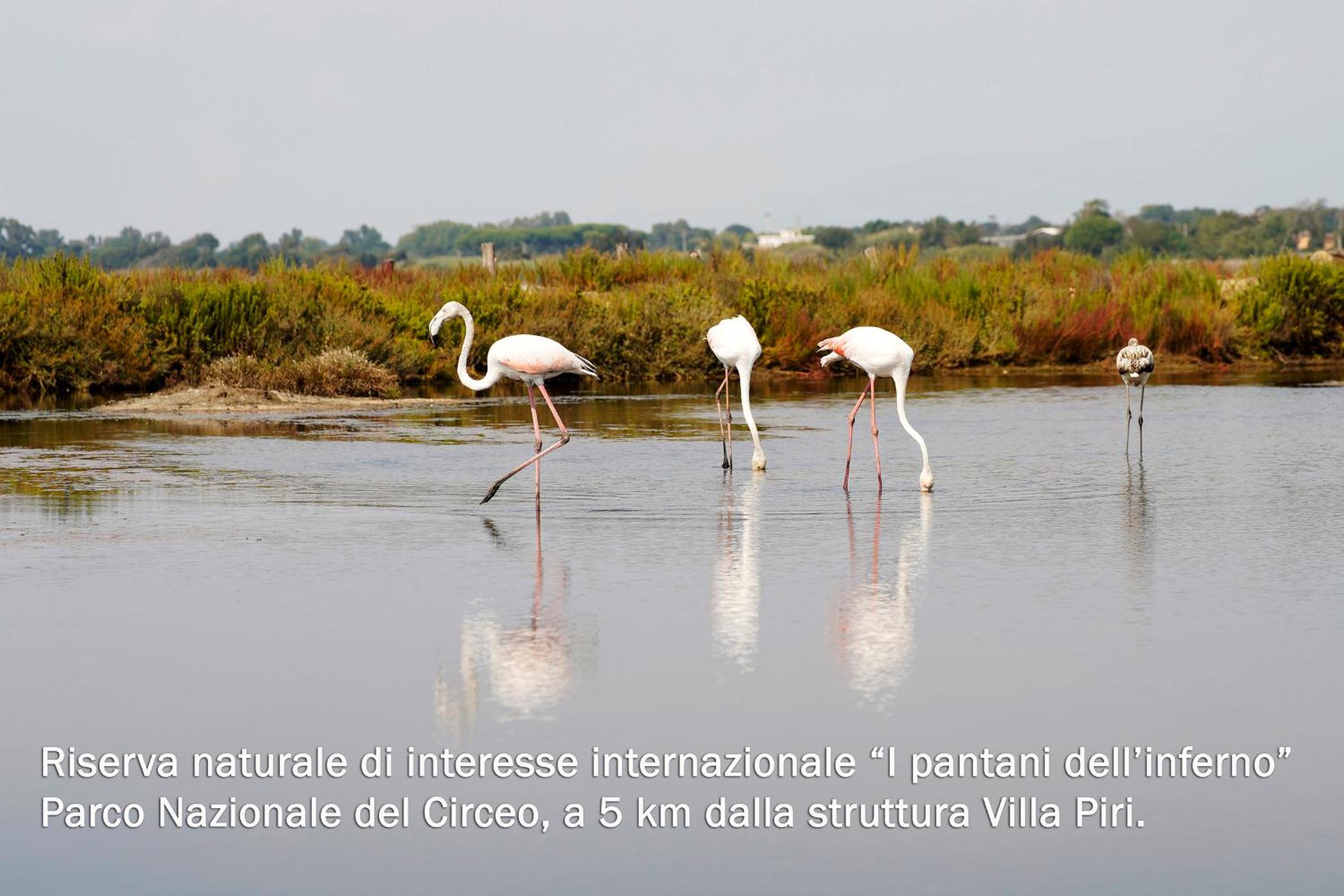 Villa Piri