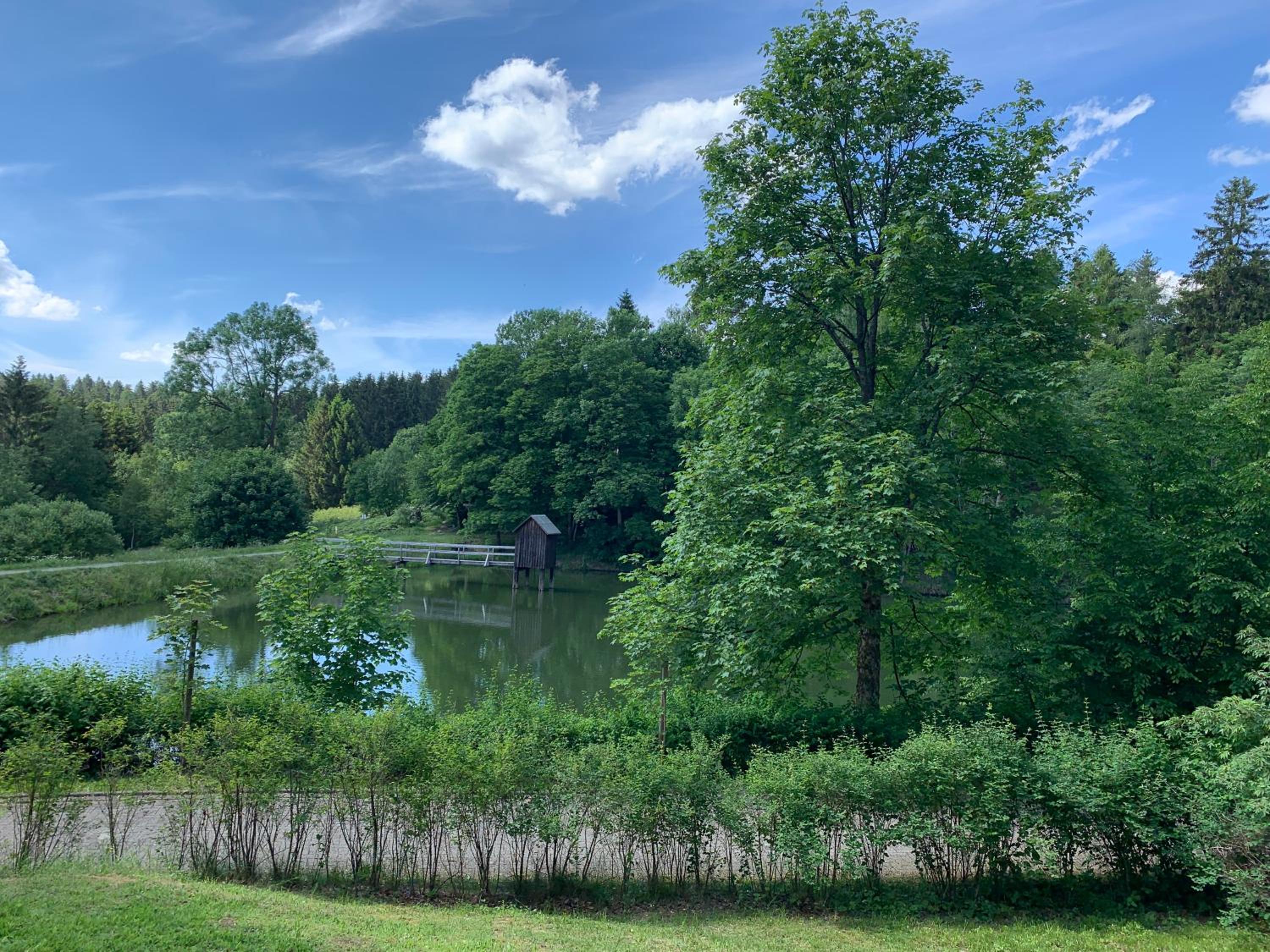 Haus am Kurpark view 2