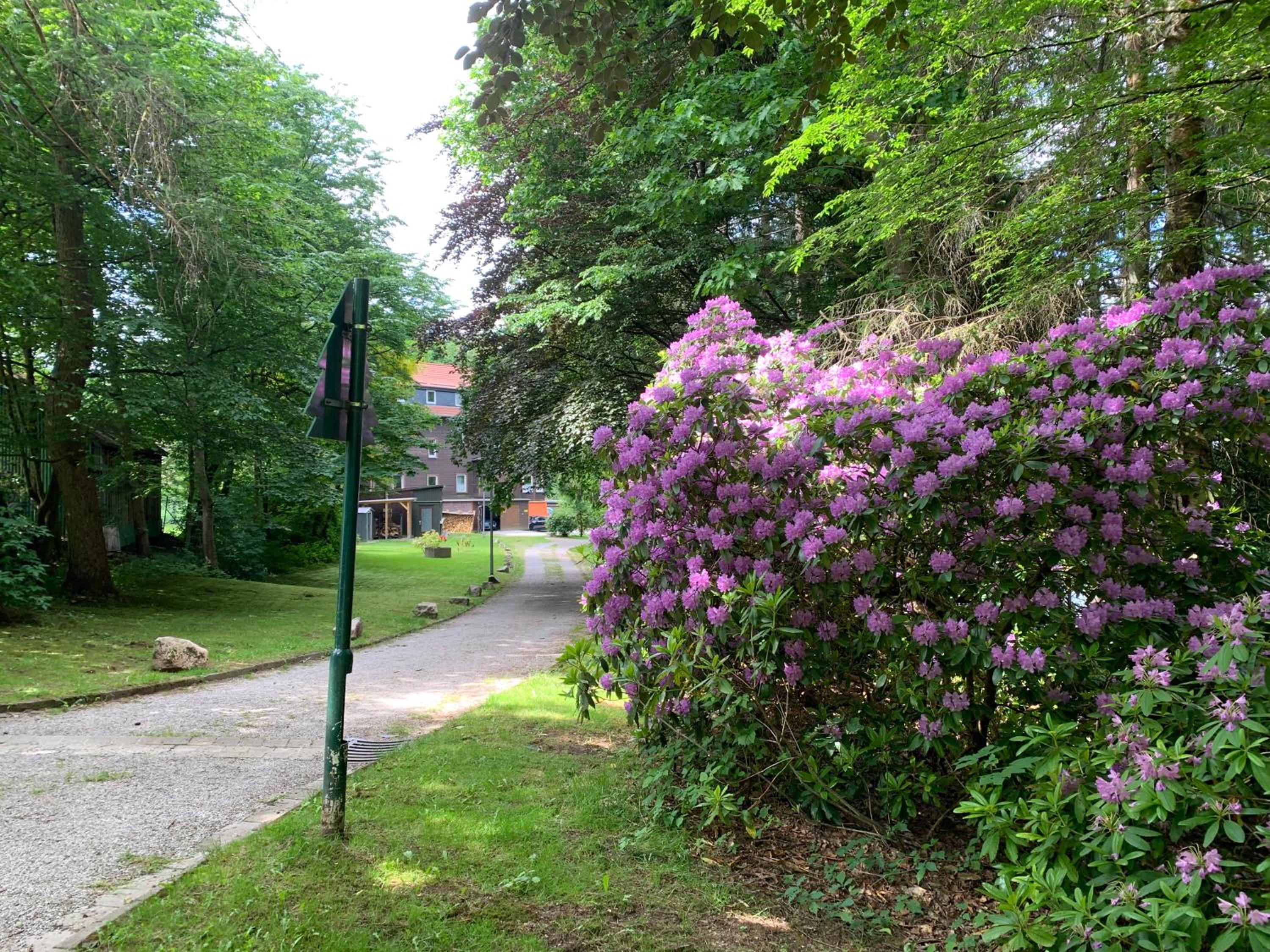 Haus am Kurpark view 4