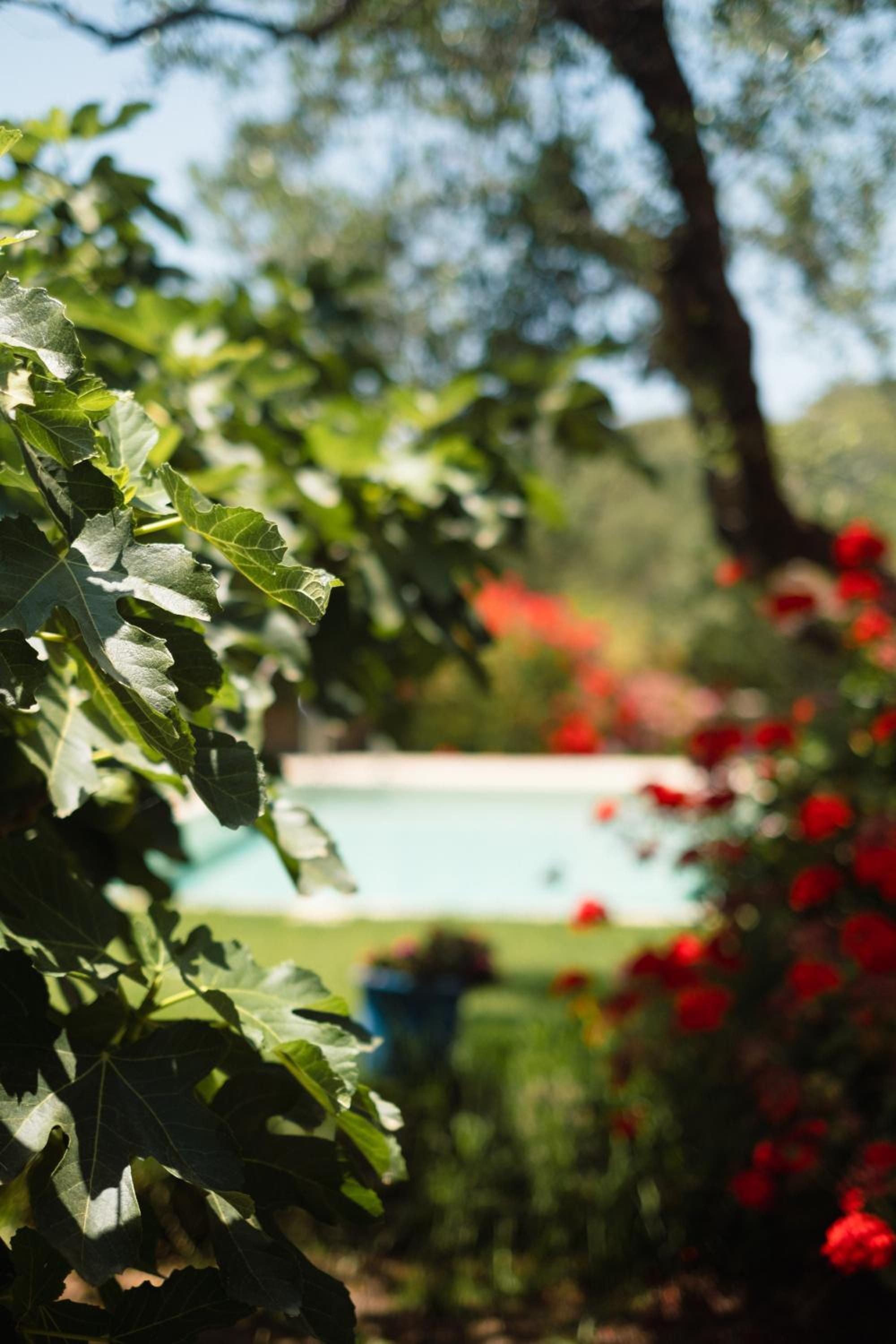Gerakas Stone House Villa view 4