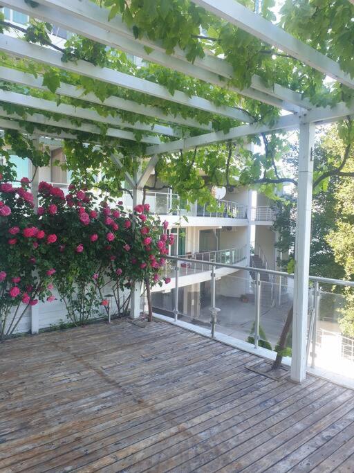 Studio Silver Terace with Sea View for 4 person