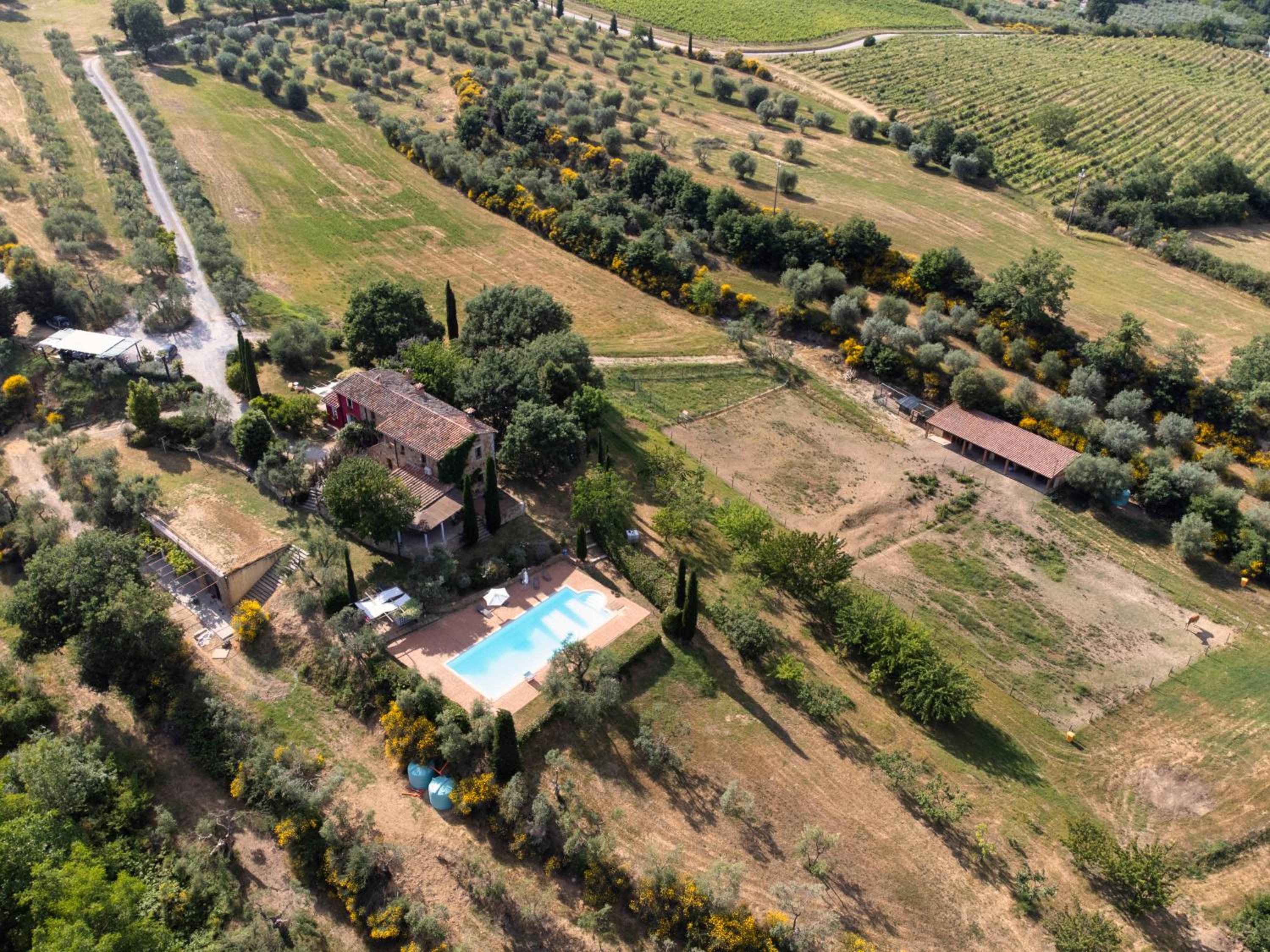 L'Aquila e L'Ulivo view 2