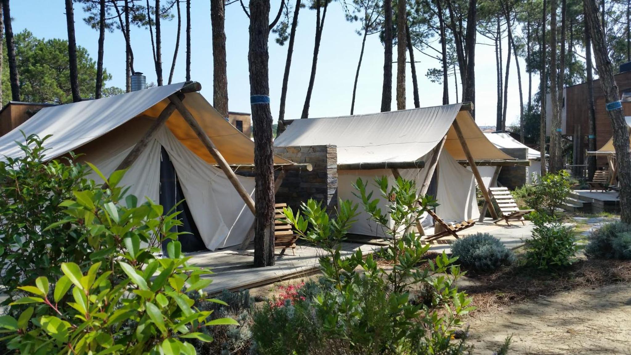 Bukubaki Eco Surf