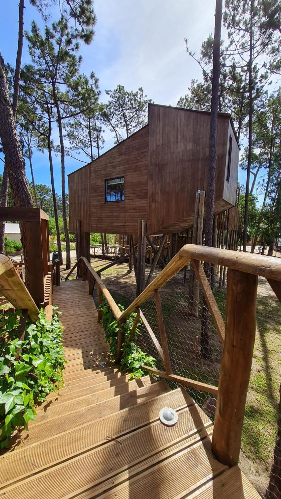 Bukubaki Eco Surf en Ferrel
